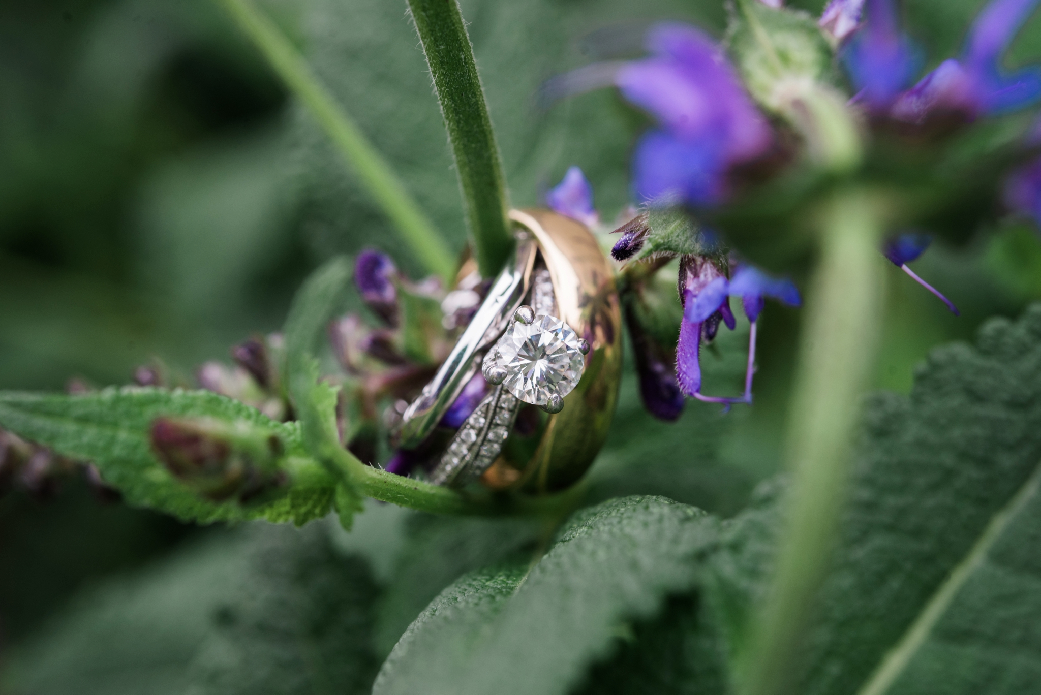Emily Grace Photography, Lancaster PA Wedding Photographer, Riverdale Manor Wedding