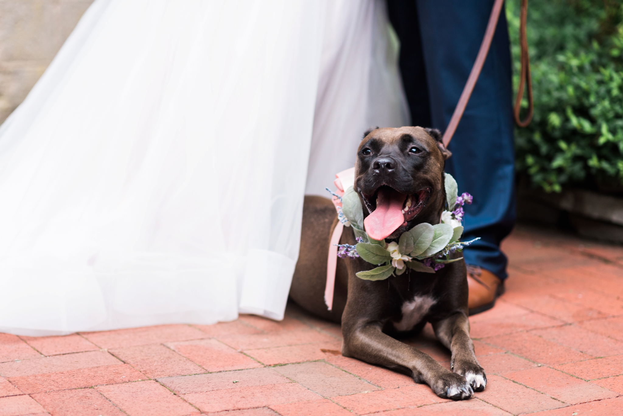 Emily Grace Photography, Lancaster PA Wedding Photographer, The Old Mill Wedding, Rose Valley PA, Secret Garden Themed Wedding
