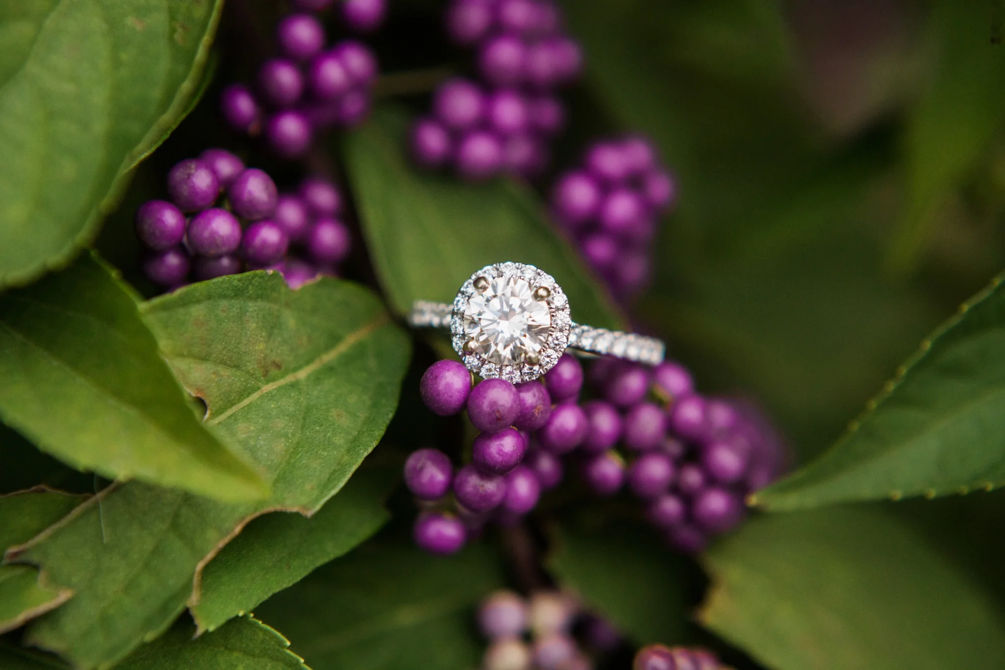 Emily Grace Photo, Lancaster PA Wedding Photographer, Millersville University Engagement Session