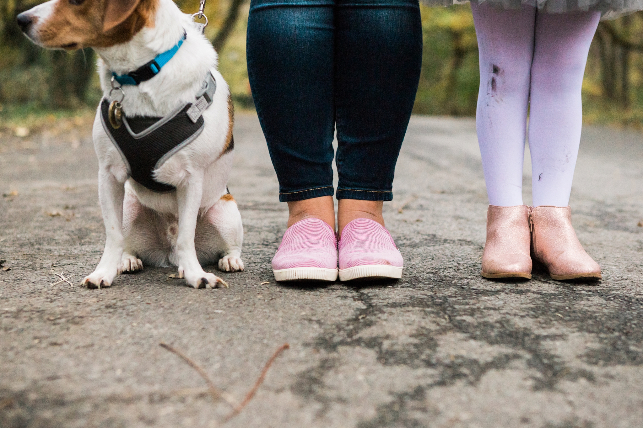 Emily Grace Photography, Lancaster PA Lifestyle Photographer, Marietta PA Photos, Fall Family Portraits with Dog