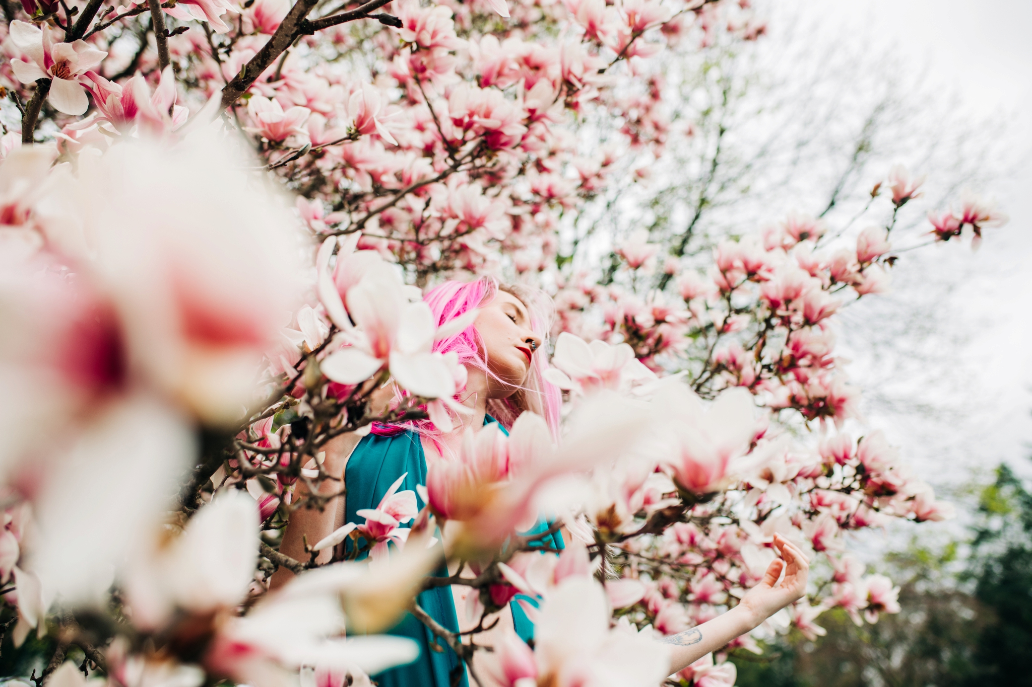 Emily Grace Photography, Lancaster PA Wedding Photographer for Adventurous Couples, Lancaster County Central Park Portrait Session, Magnolia Tree Photo Shoot