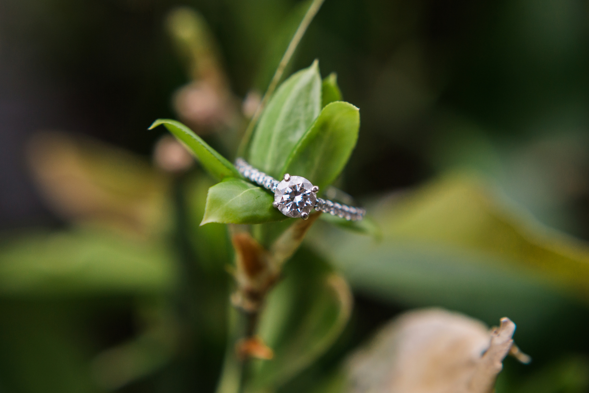 Emily Grace Photography, Lancaster PA Wedding Photographer, Photography for Joyful Couples, Greenfield Corporate Center Park Engagement Session, Nature Engagement Ring Shot