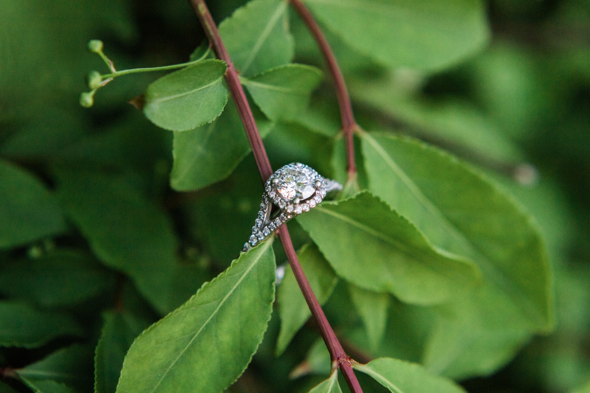 Emily Grace Photography, Lancaster PA Wedding Photograper for Non-Traditional Couples, Lititz Spring Park Engagement Photos