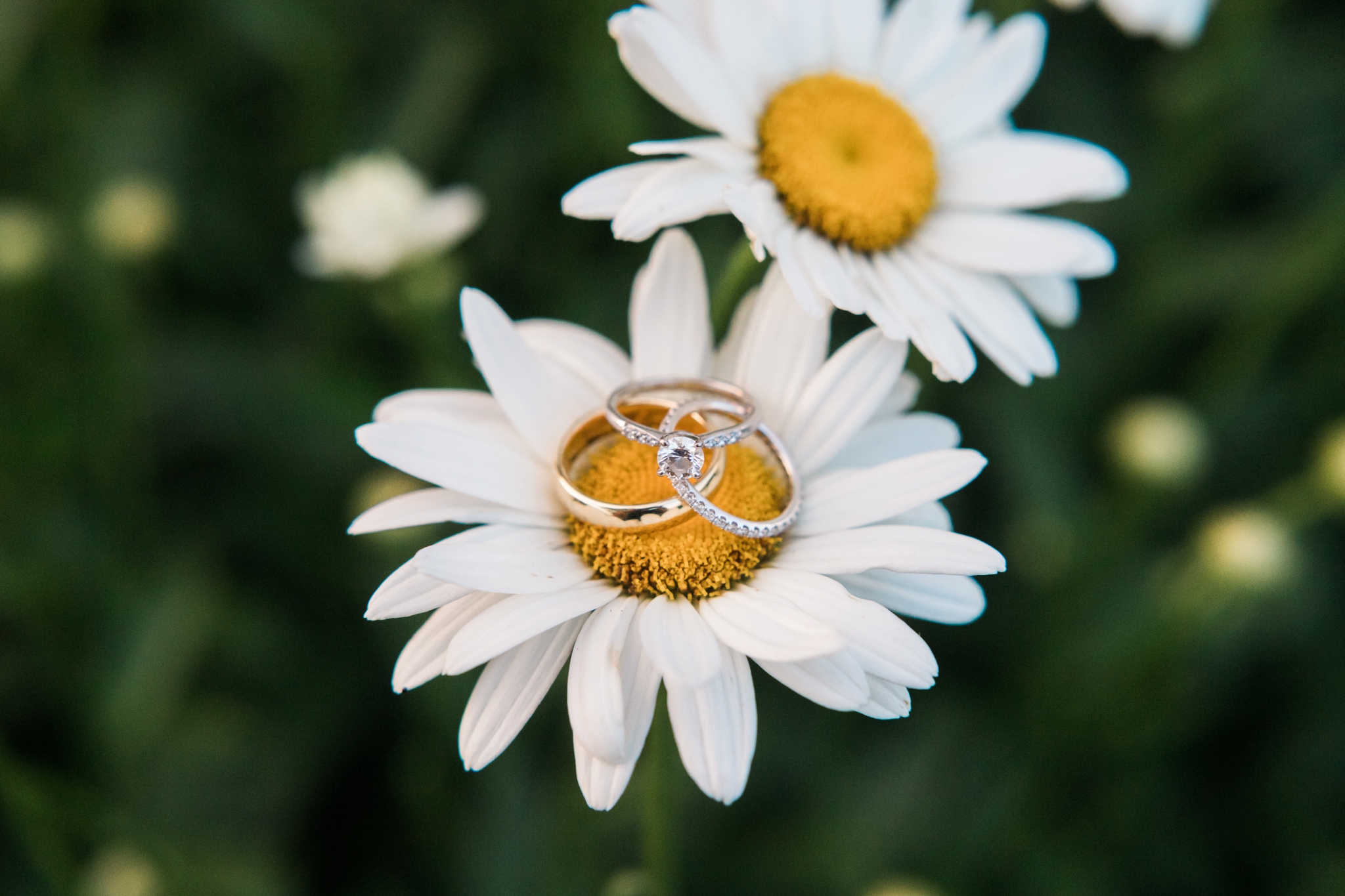 Emily Grace Photography, Lancaster PA Wedding Photographer, French Creek Golf Club Wedding Venue, Elverson PA Wedding Venue, Fairytale Wedding Theme, Central PA Wedding Photographer