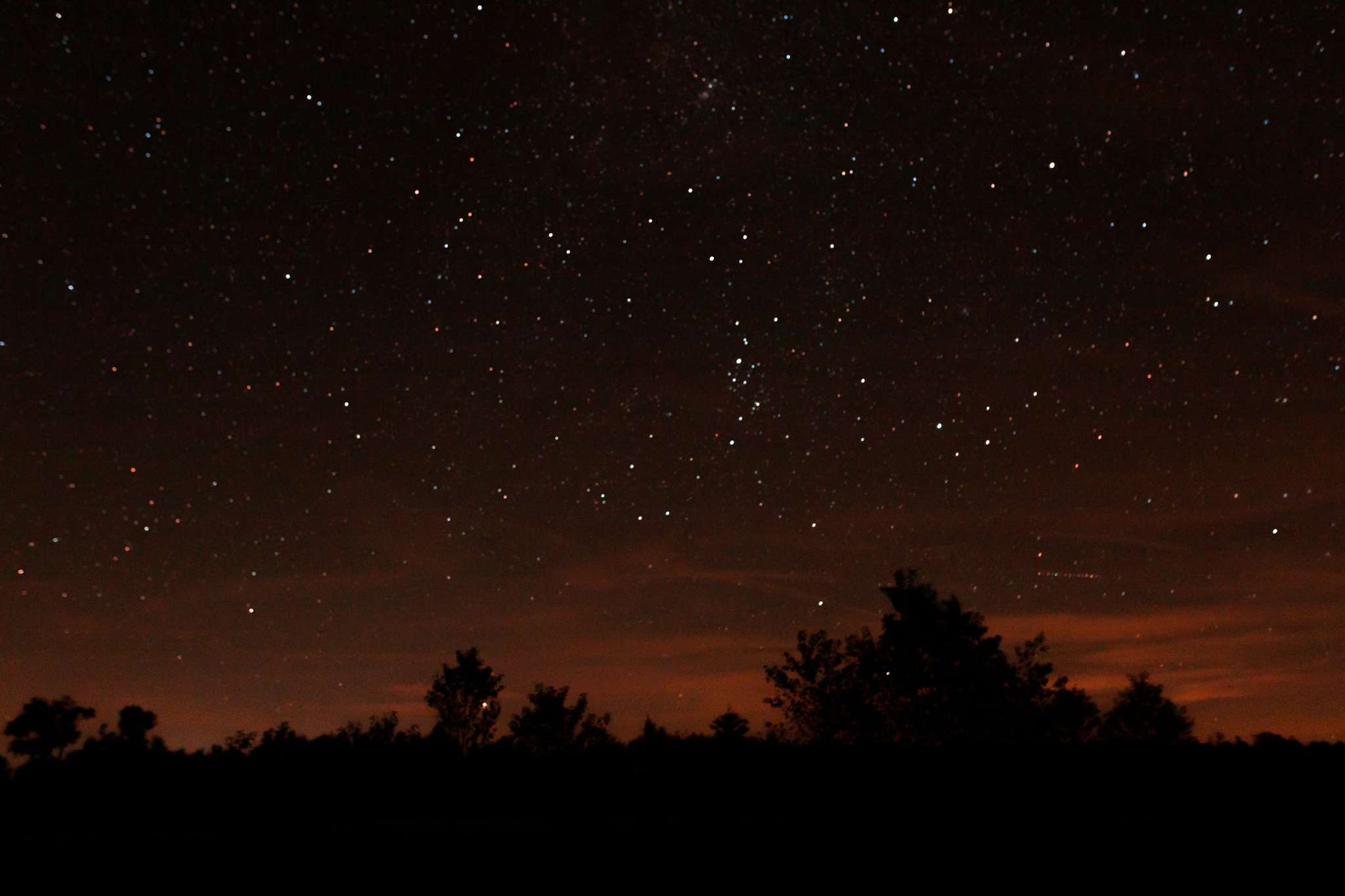 Emily Grace Photography, Lancaster PA Wedding Photographer, Cherry Springs State Park, Potter County PA, Astrophotography