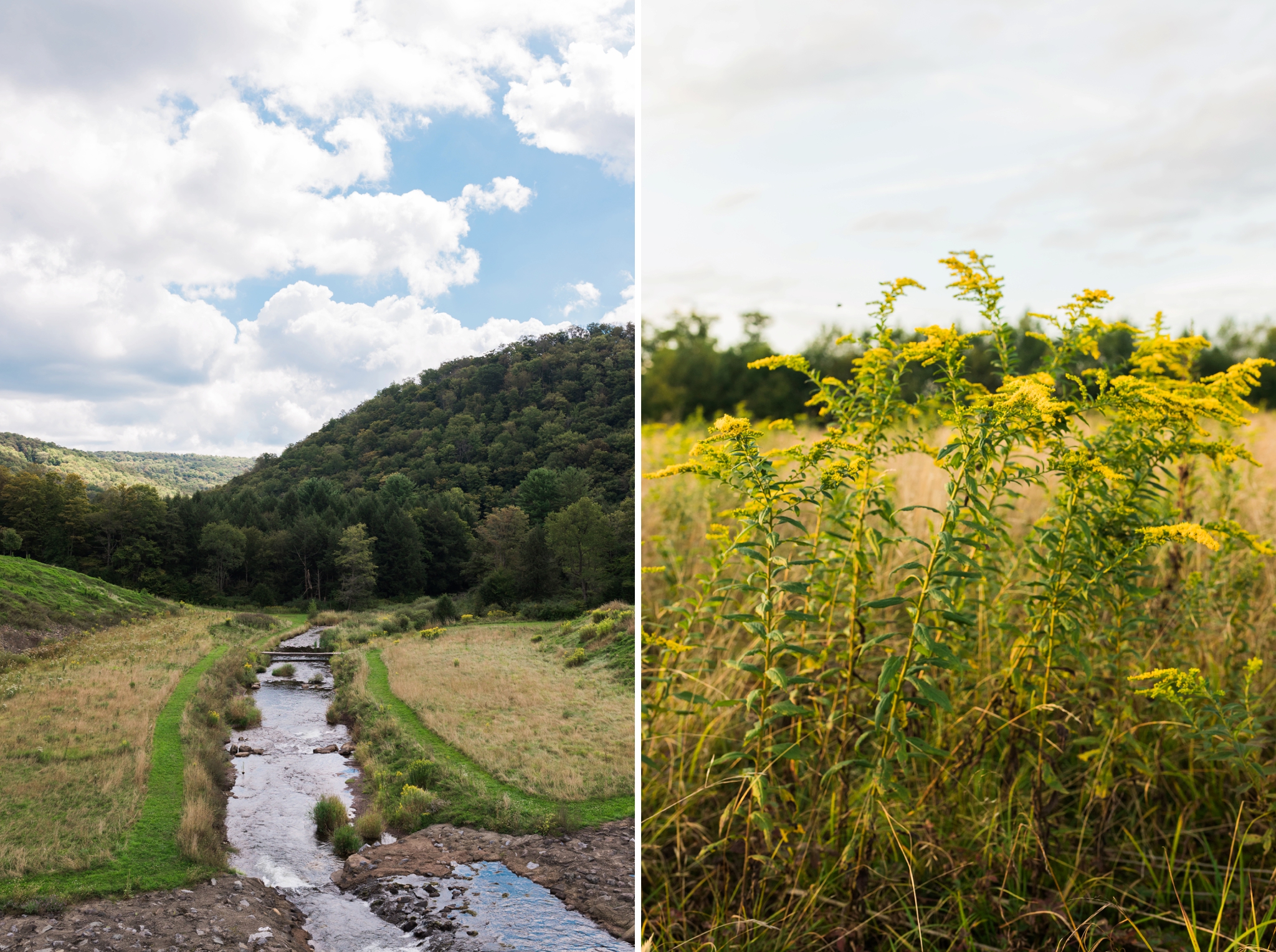 Emily Grace Photography, Lancaster PA Wedding Photographer, Cherry Springs State Park, Potter County PA, Astrophotography