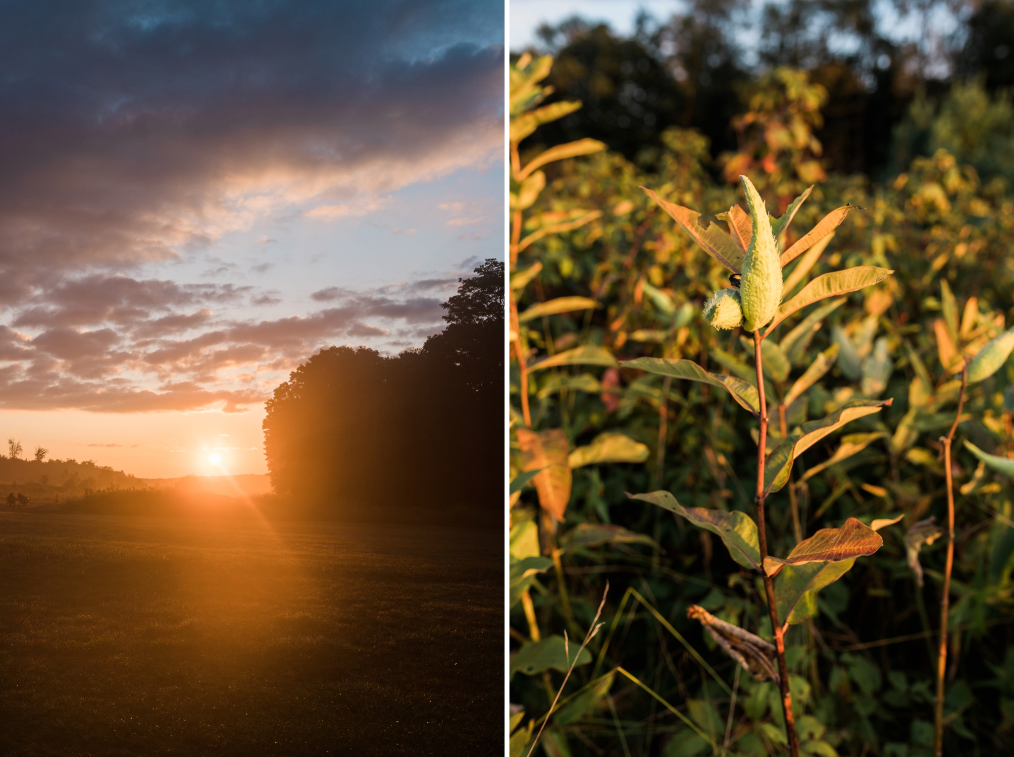 Emily Grace Photography, Lancaster PA Wedding Photographer, Cherry Springs State Park, Potter County PA, Astrophotography