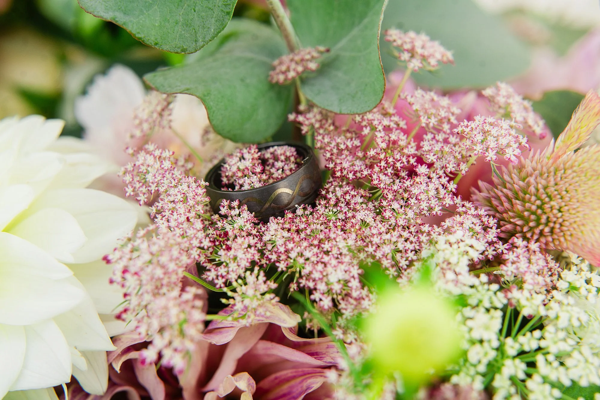 Emily grace photo, stoltzfus homestead and garden wedding photos, lancaster pa wedding photographer, stoltzfus homestead and gardens wedding photographer, gordonville pa wedding photographer