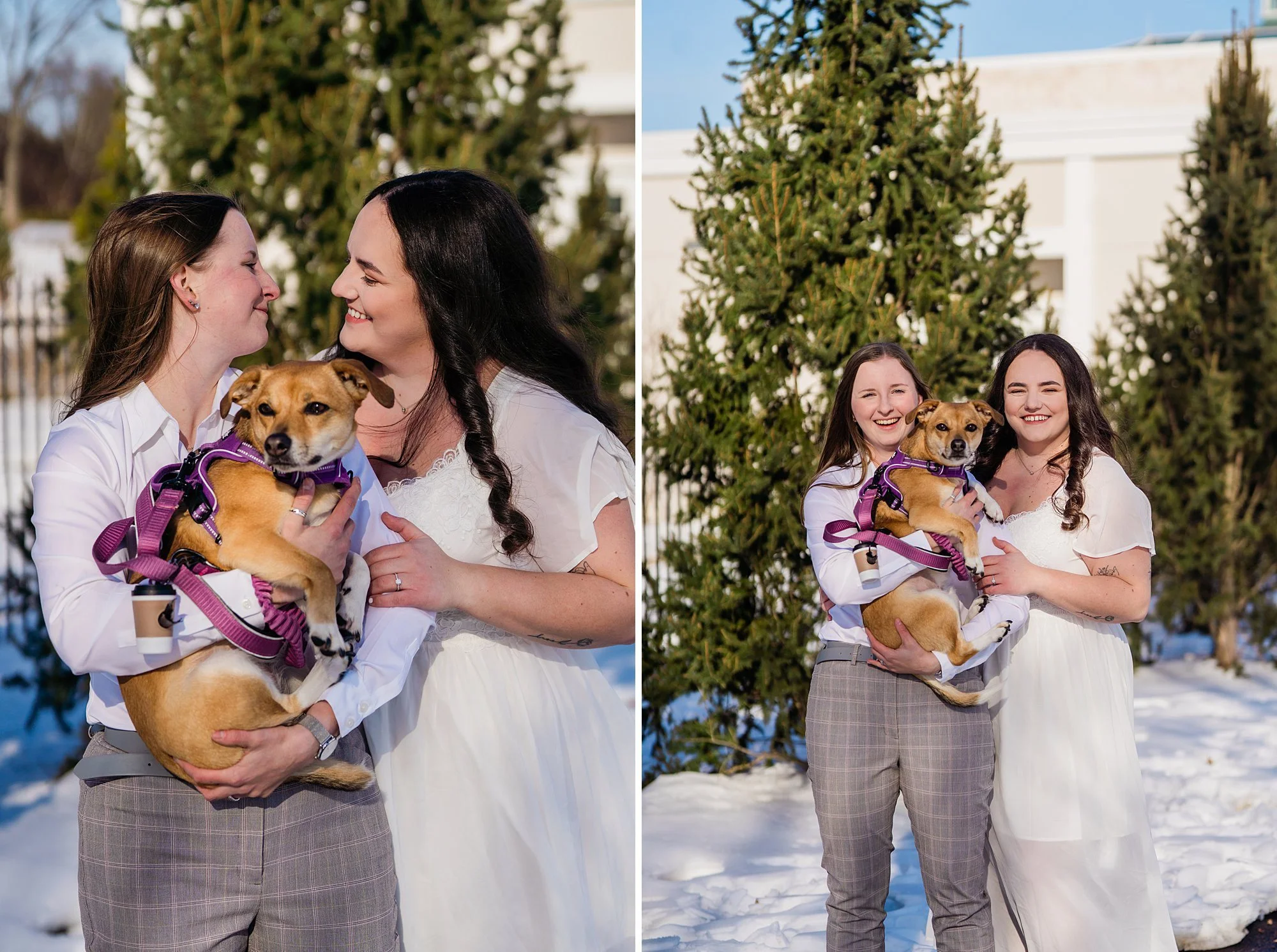 Emily Grace Photo, LGBTQ friendly photographer Hershey, LGBTQ friendly photographer Harrisburg, LGBTQ friendly photographer Lancaster, Hershey Gardens engagement photos