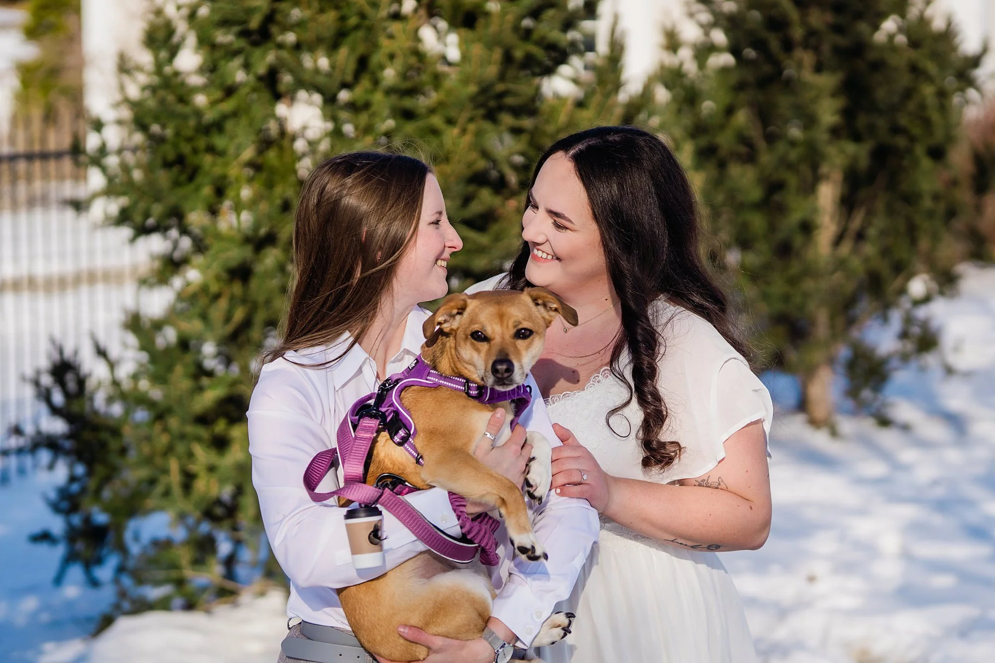 Emily Grace Photo, LGBTQ friendly photographer Hershey, LGBTQ friendly photographer Harrisburg, LGBTQ friendly photographer Lancaster, Hershey Gardens engagement photos