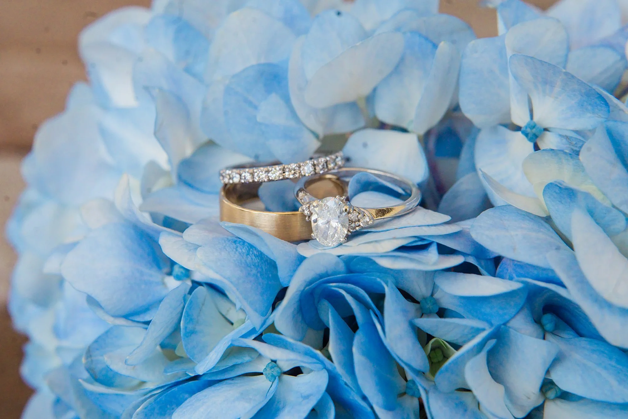 Emily Grace Photo, Lancaster PA Wedding Photographer, Cameron Estate Inn Summer Wedding, Cameron Estate Inn Wedding Photos, Mount Joy PA Wedding Photographer