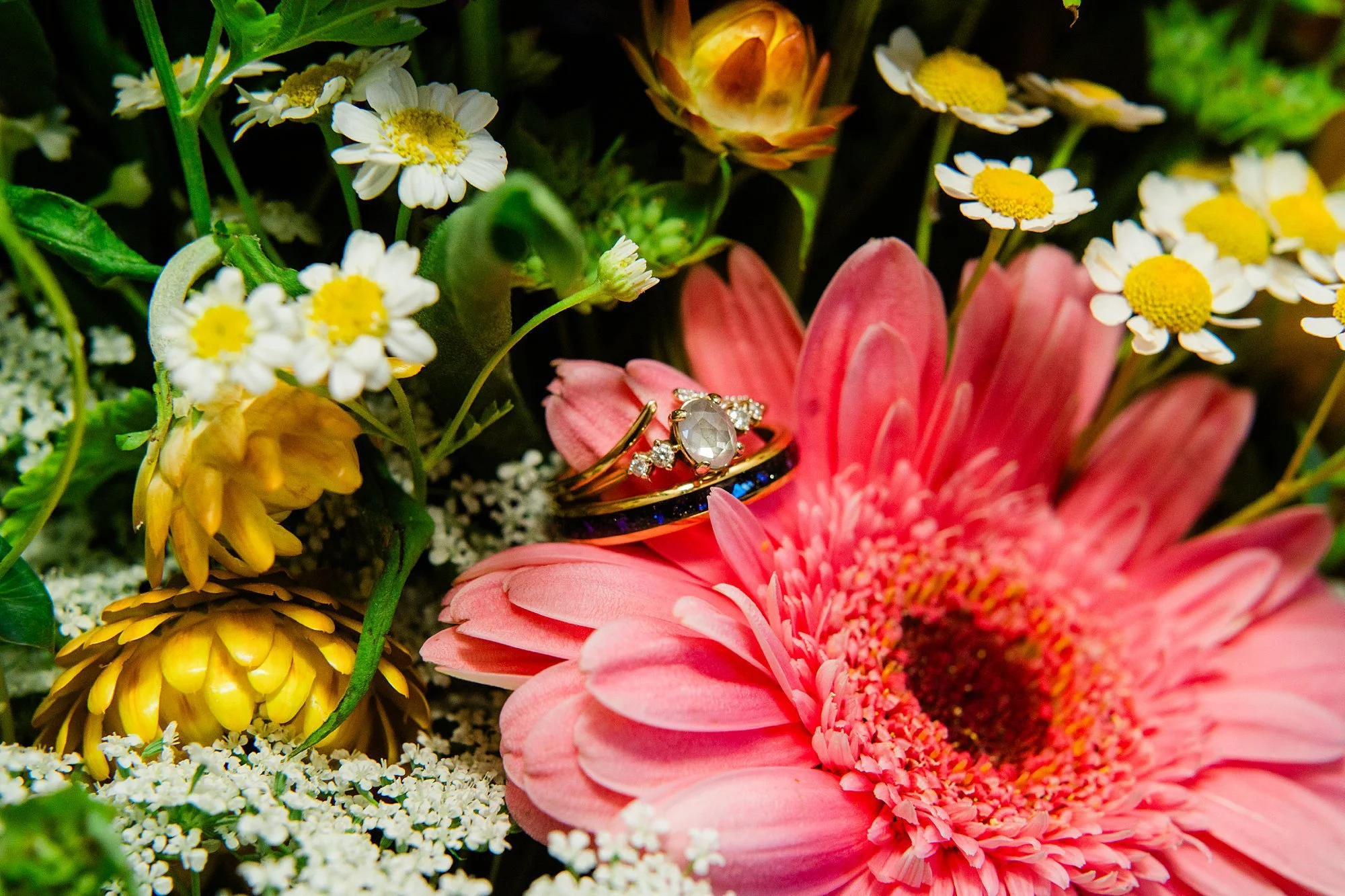 Emily Grace Photo, Main Street Ballroom Wedding Photos, Main Street Ballroom Ellicott City MD, Ellicott City Wedding, Baltimore Wedding Photographer