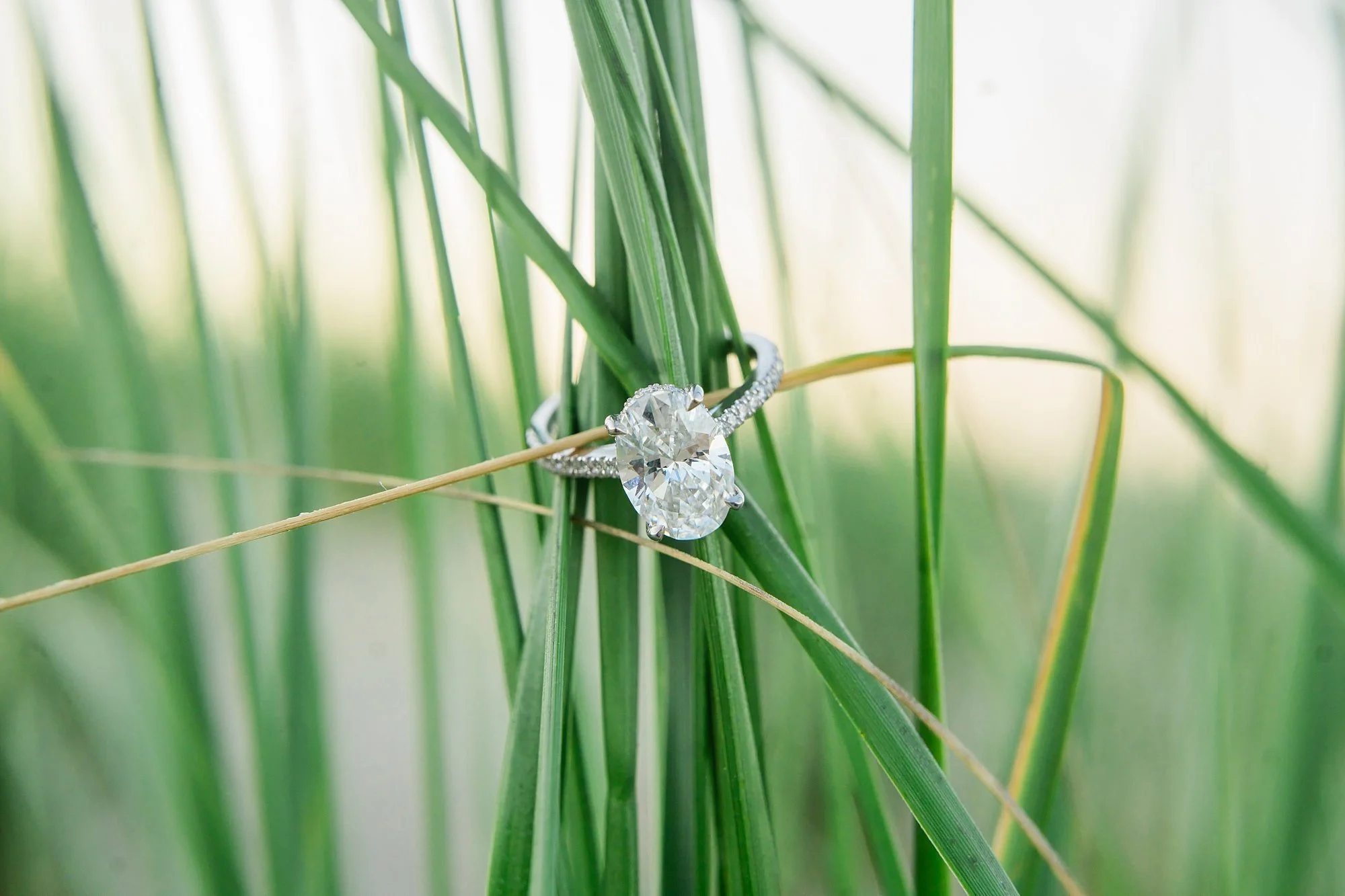 LGBTQ Friendly Delaware Beach Family Photographer, Delaware Beach Family Photographer, Fenwick Island Family Photographer, Bethany Beach Family Photographer, Rehoboth Beach Family Photographer
