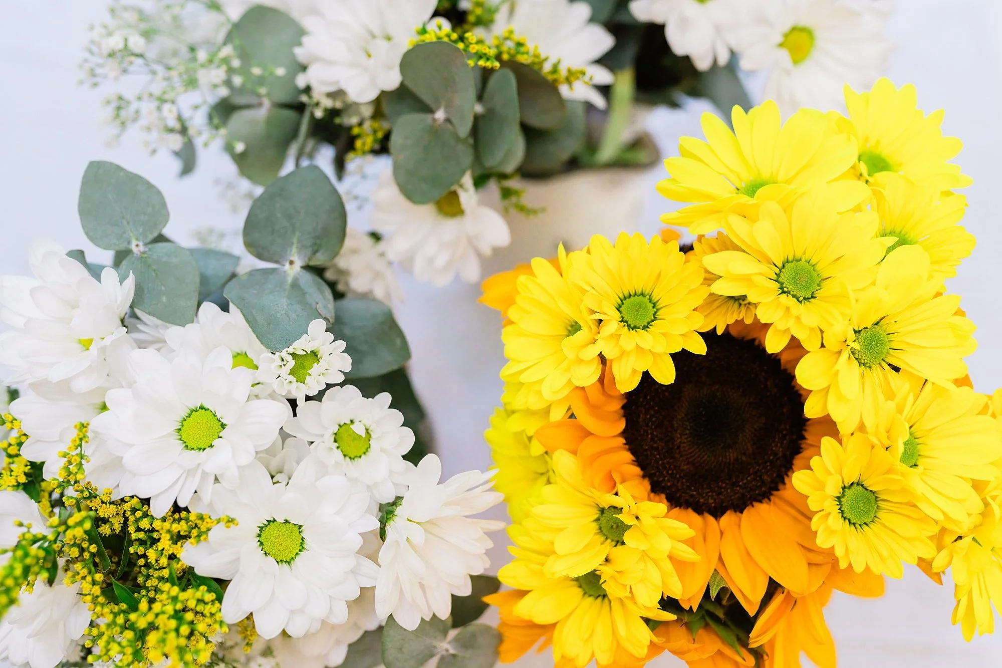 Emily Grace Photo, Lancaster PA Elopement Photographer, Harrisburg Elopement Photographer, York PA Elopement Photographer