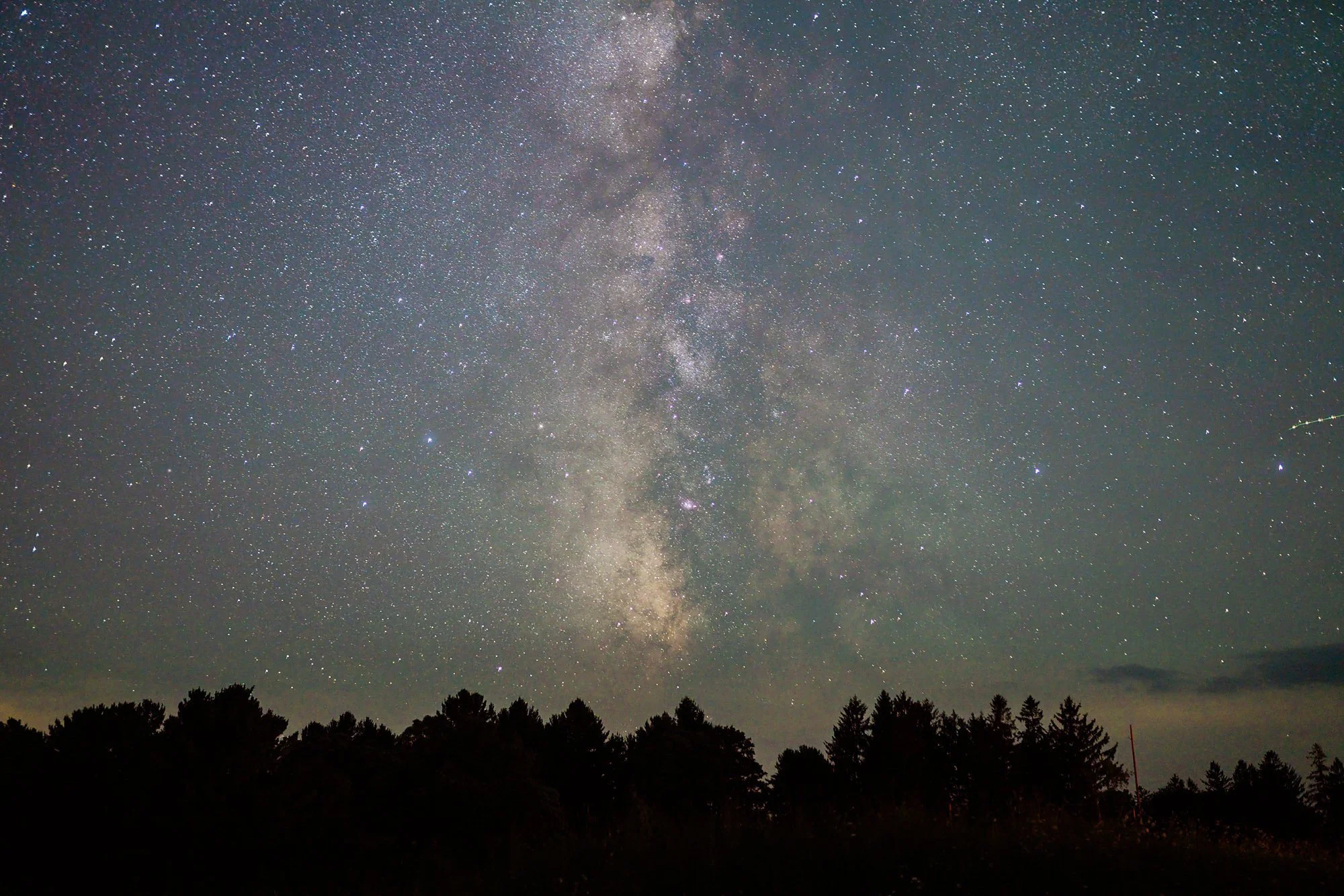Emily Grace Photo, Cherry Springs State Park Astrophotography, Cherry Springs State Park Engagement Photos, Cherry Springs Astrophotography Engagement Photos