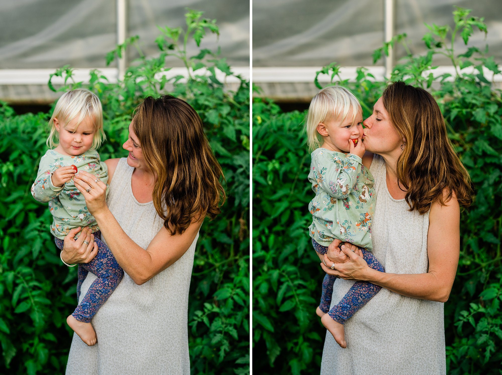 Emily Grace Photo, Lancaster PA Family Photographer, Family Farm Photos, Farm Family Portraits, Lancaster PA Farm Photos, Lancaster PA Family Photos