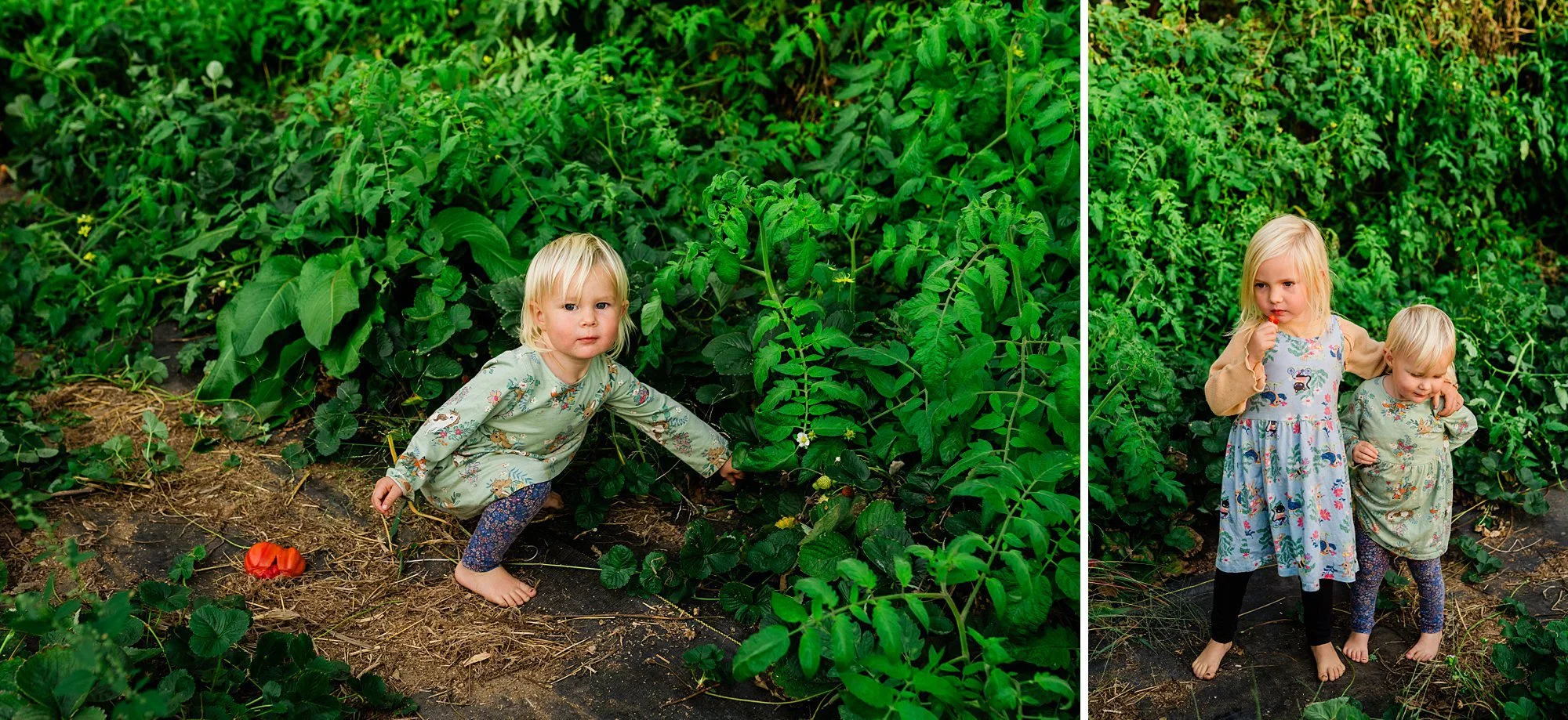 Emily Grace Photo, Lancaster PA Family Photographer, Family Farm Photos, Farm Family Portraits, Lancaster PA Farm Photos, Lancaster PA Family Photos