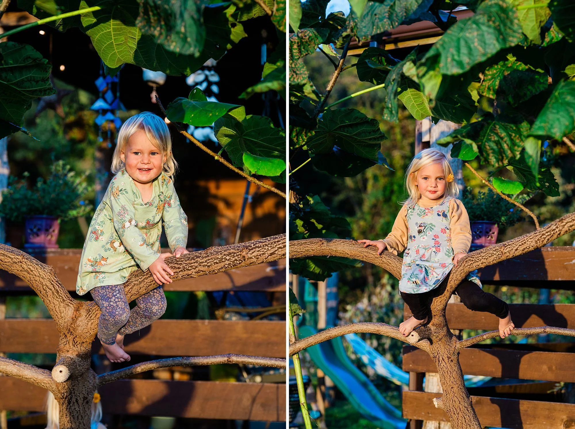 Emily Grace Photo, Lancaster PA Family Photographer, Family Farm Photos, Farm Family Portraits, Lancaster PA Farm Photos, Lancaster PA Family Photos