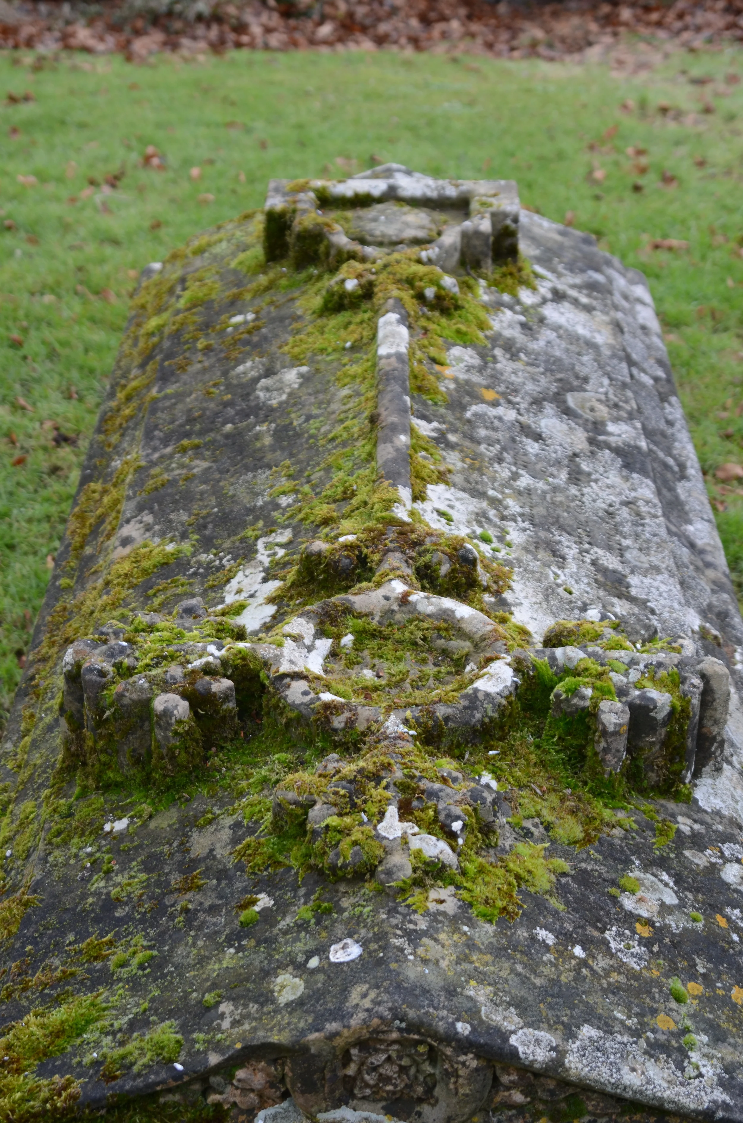 DSC_0039.JPG