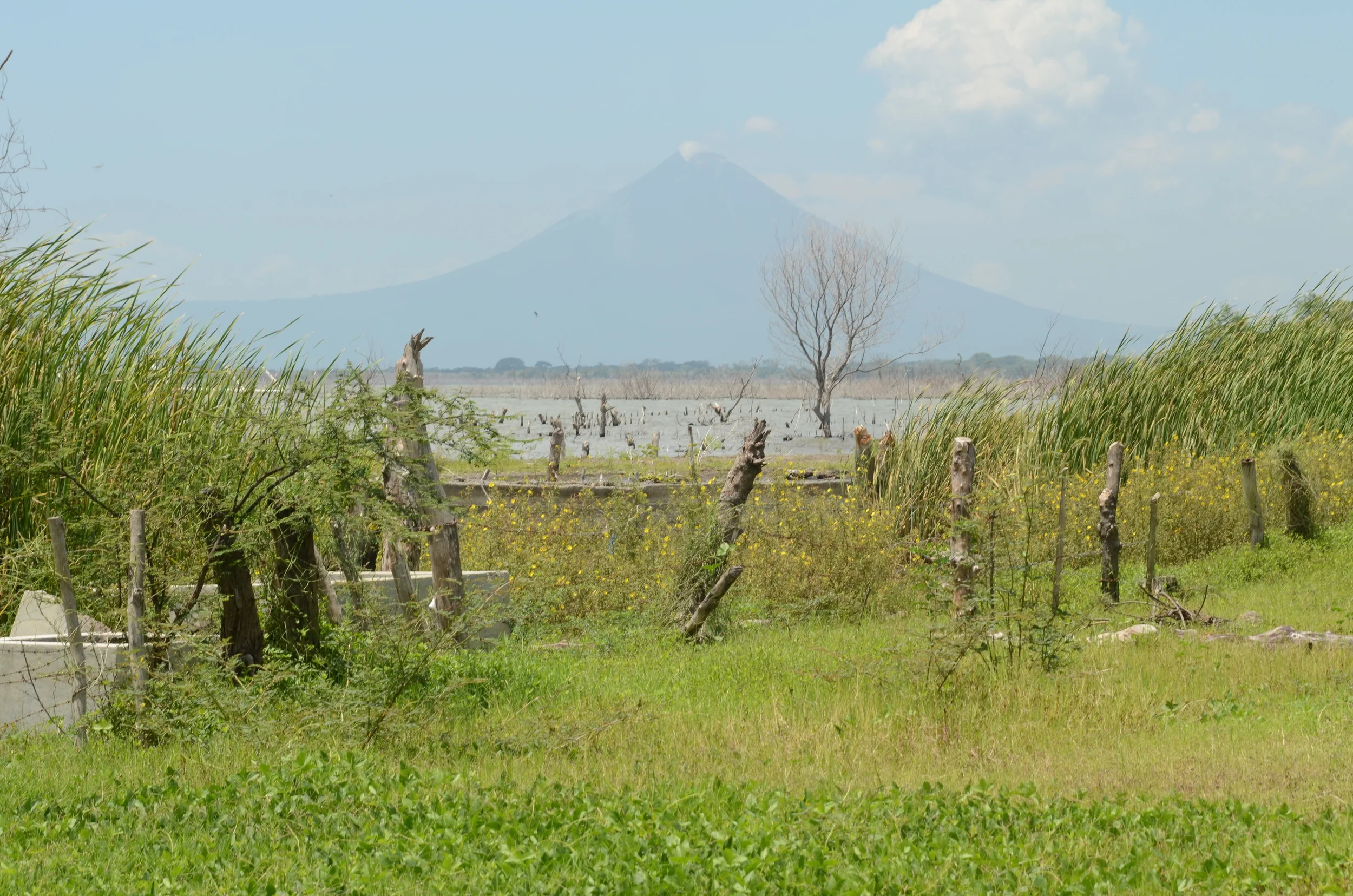 DSC_1708.JPG