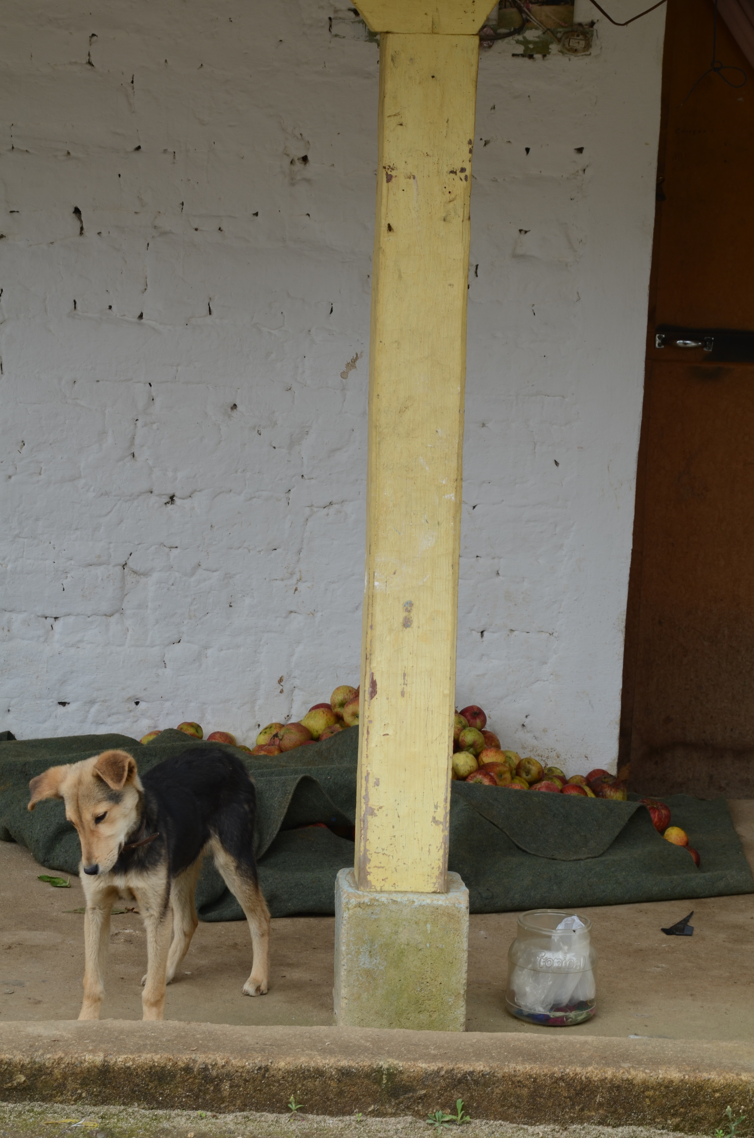 DSC_1864.JPG
