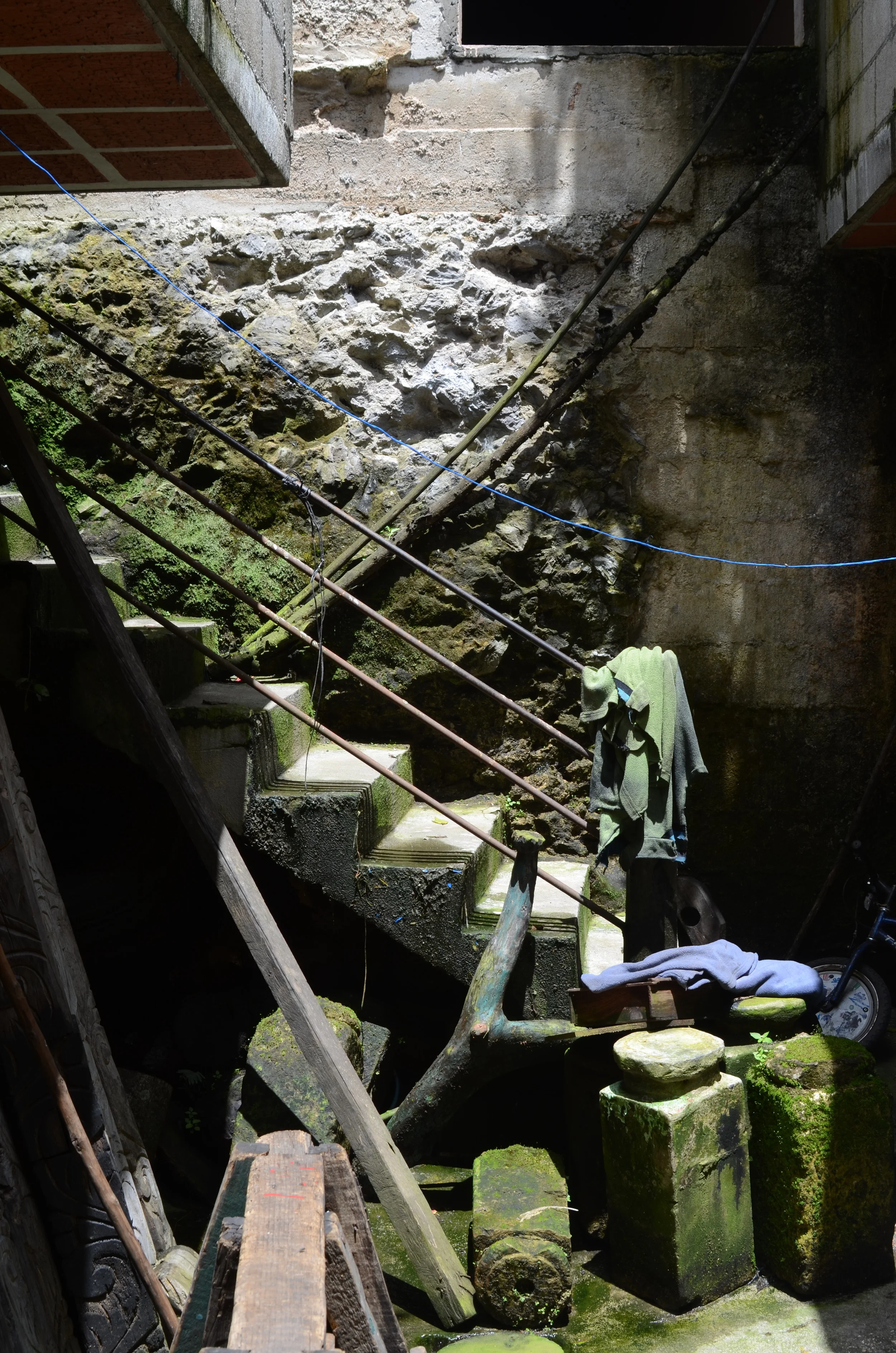 DSC_1911.JPG