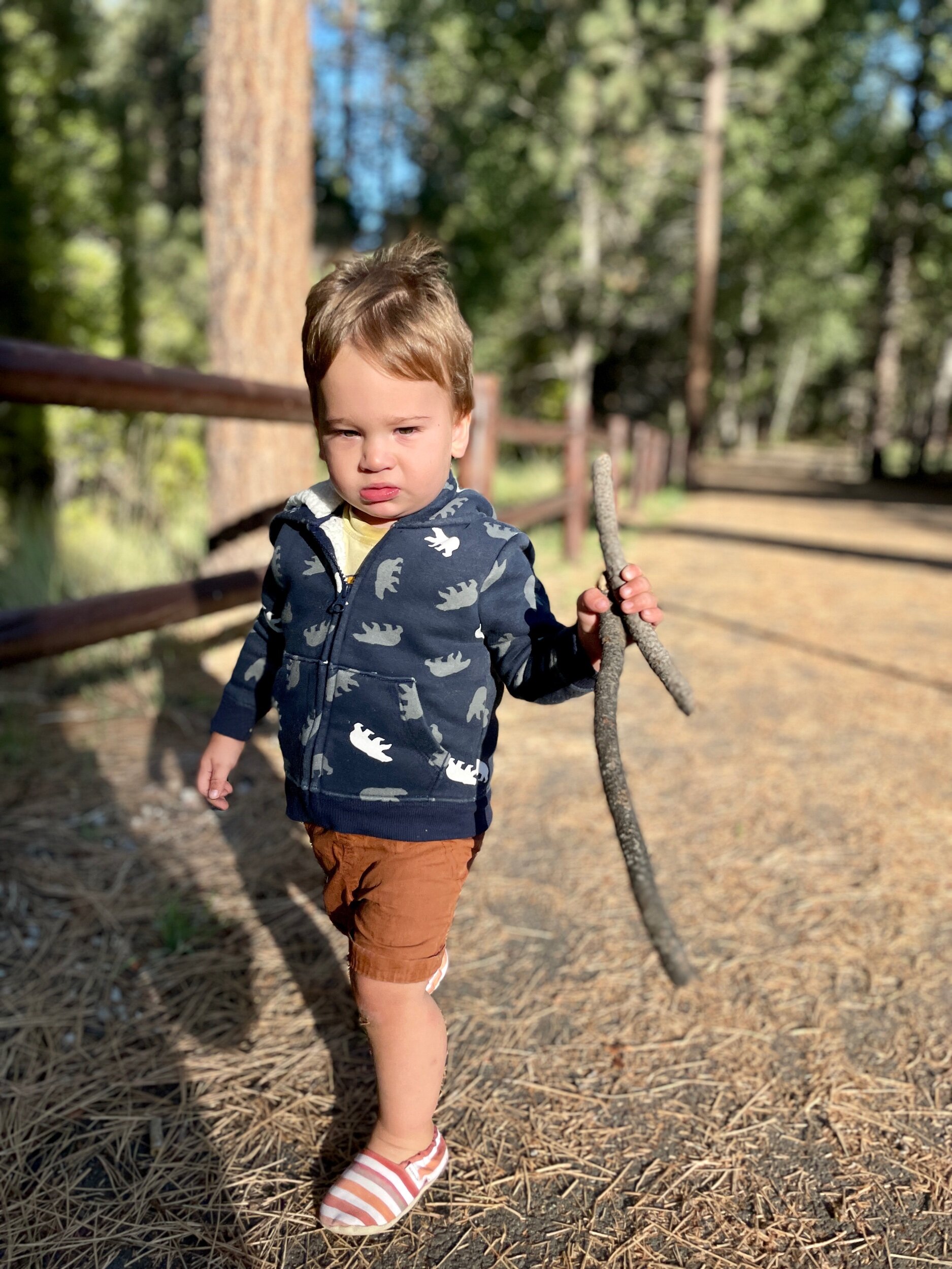 C01E2028-DDEE-4F52-BE61-6CD24FD32783