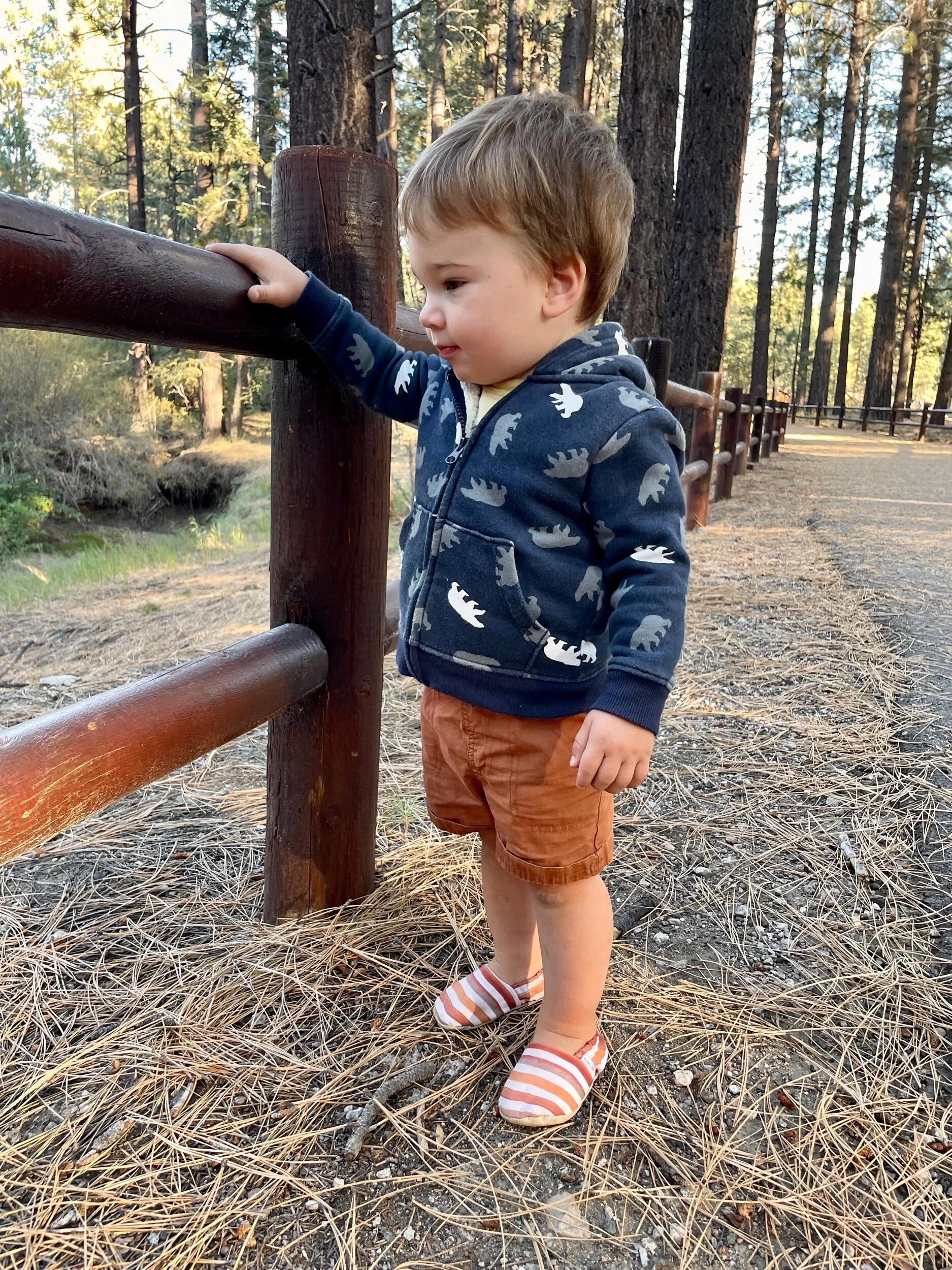 FDF0E54C-C7DE-45DE-AE88-779B5DB267FD