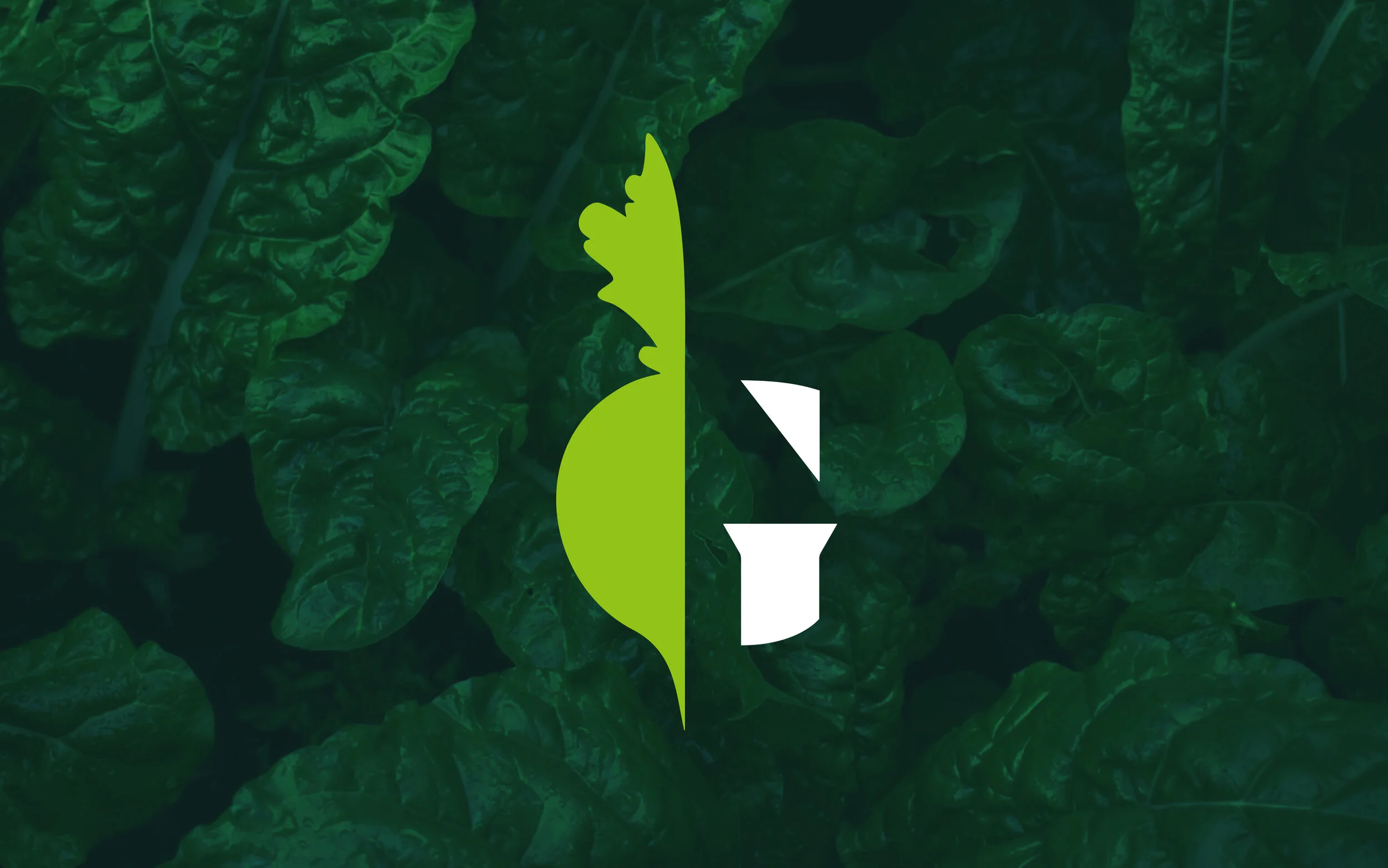 Greenwoods_Cover.jpg