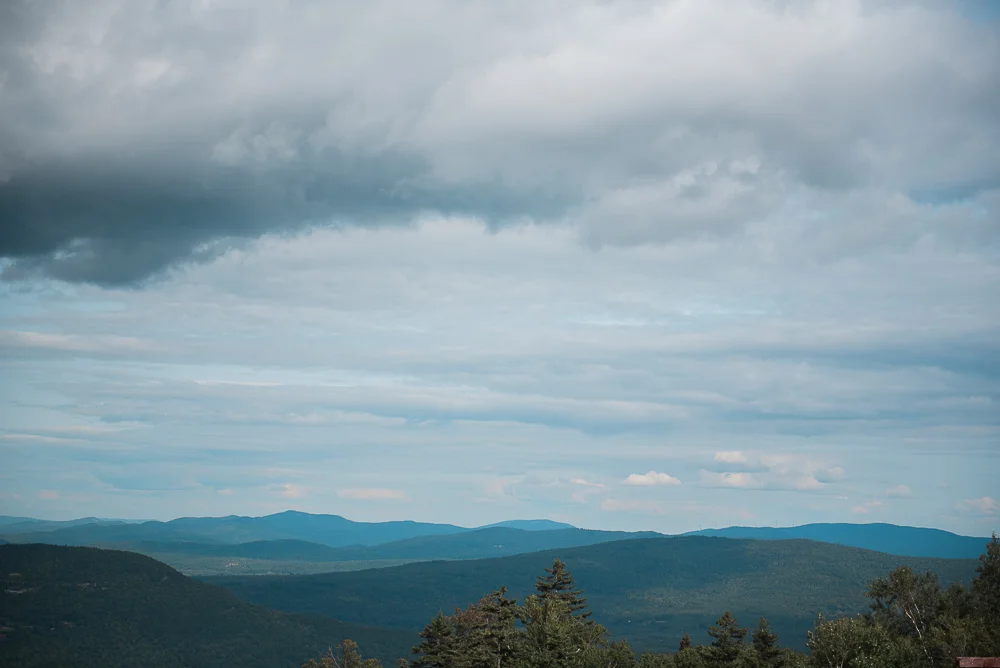 _DSC4208.jpg