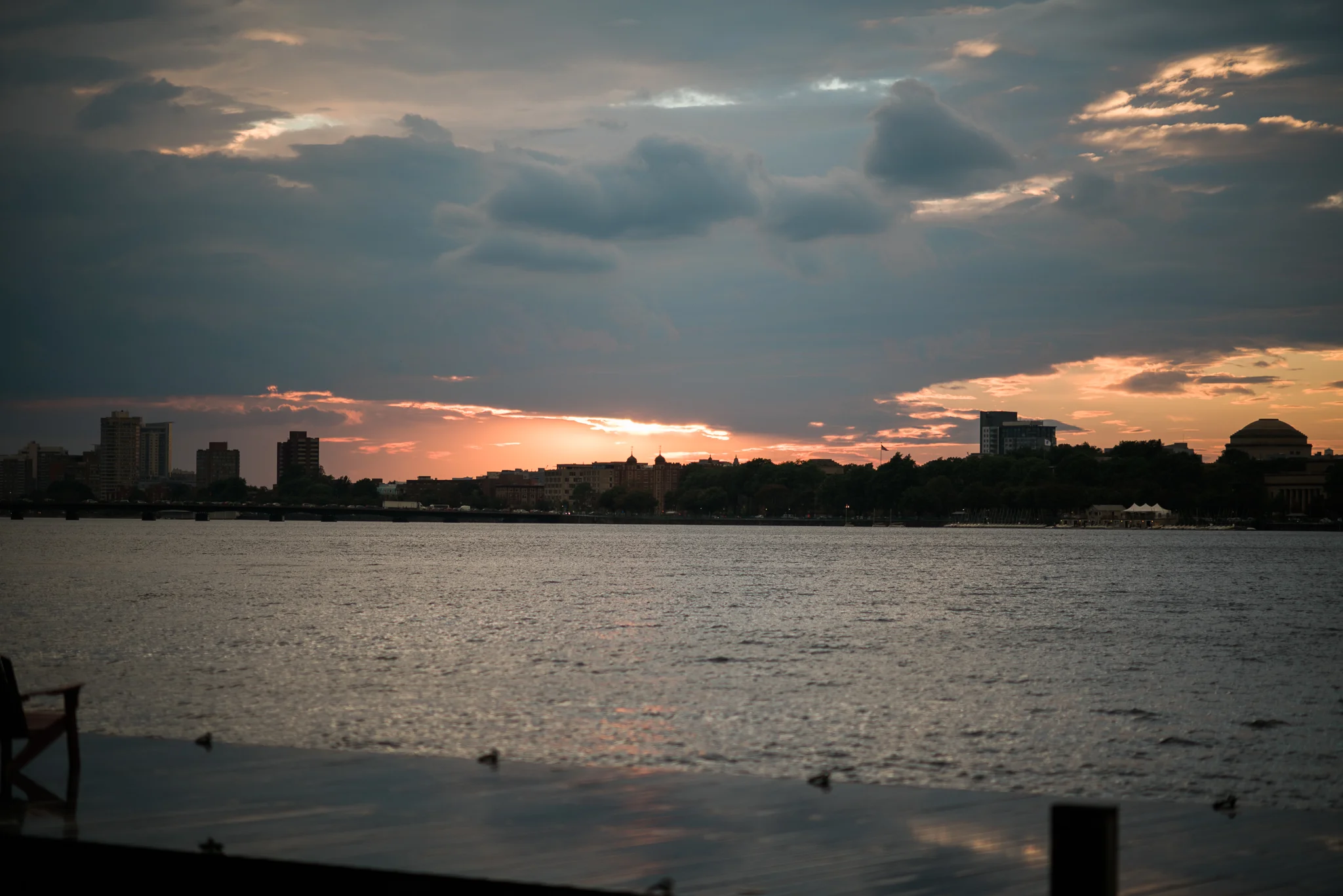 _DSC7350.jpg