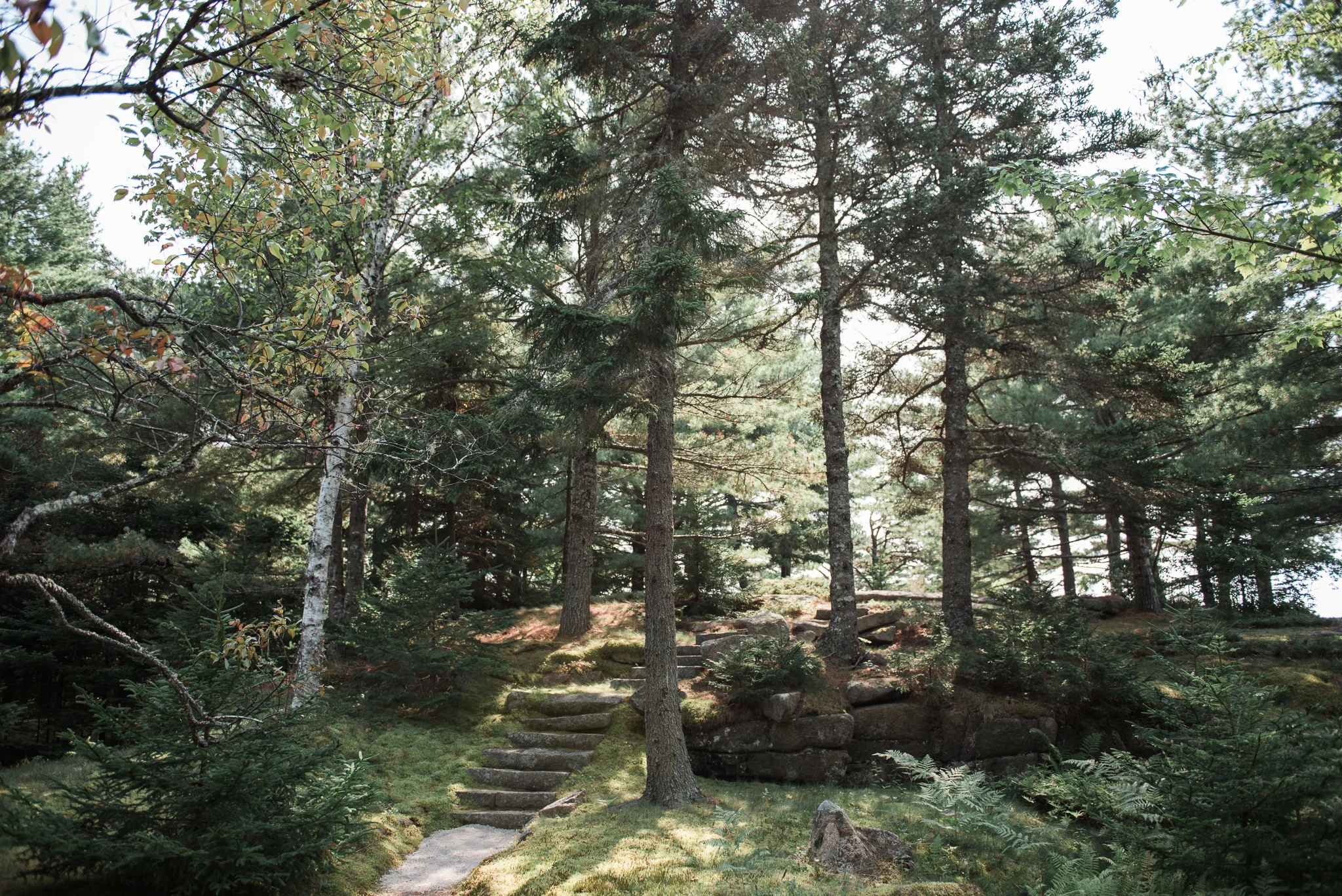 DSC_4676.jpg