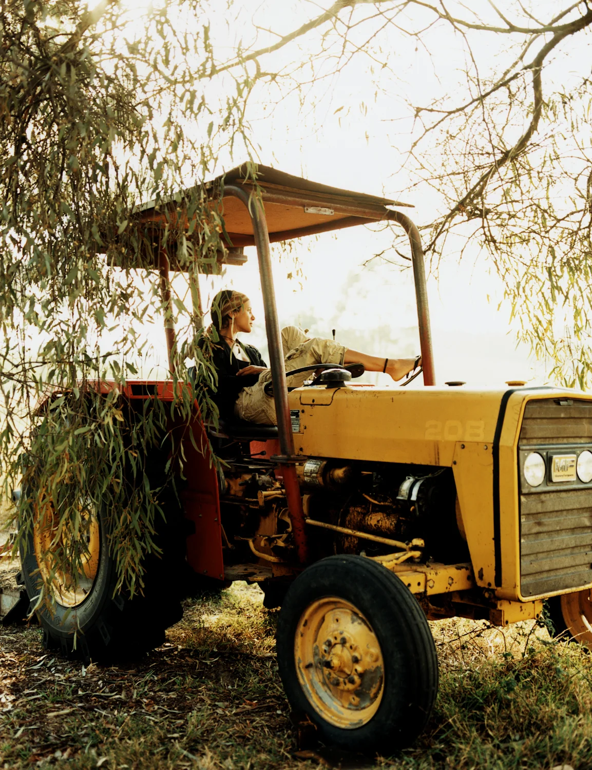 6 tracktor.jpg