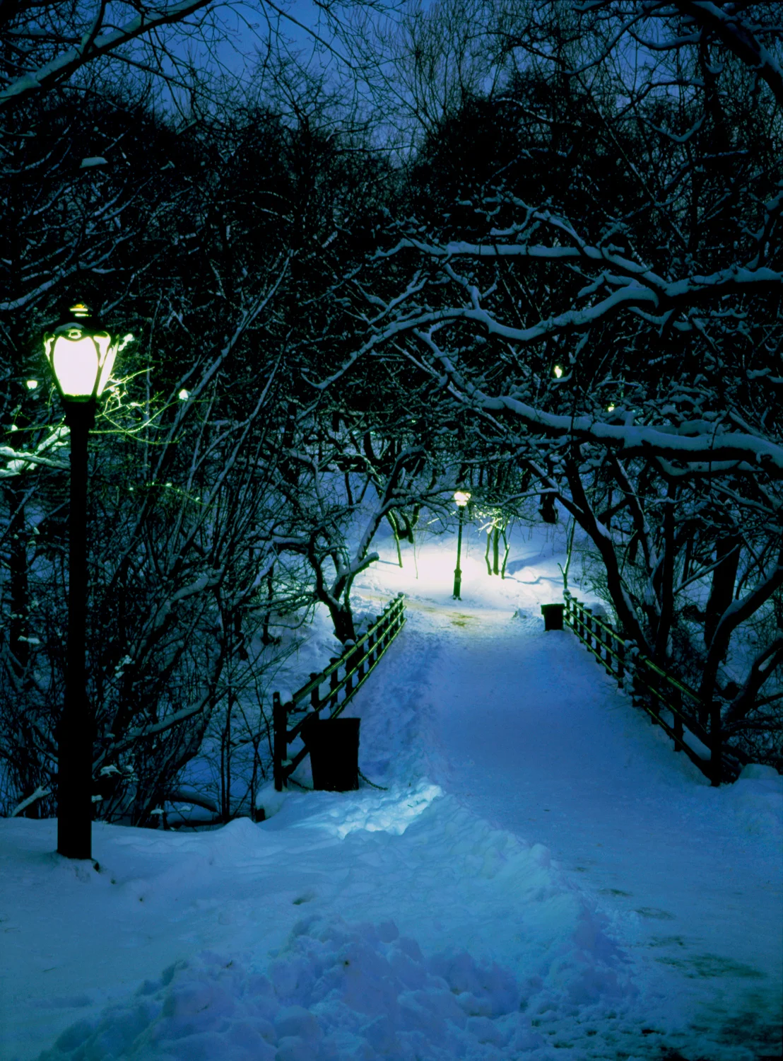 33 central park snow.jpg