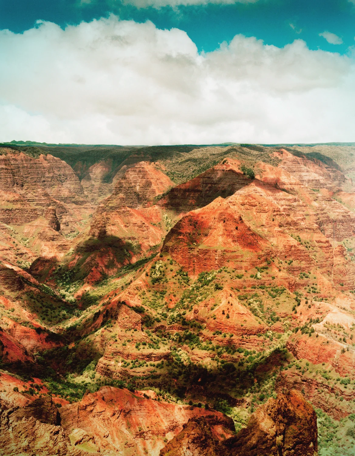 25 canyon kuaui.jpg