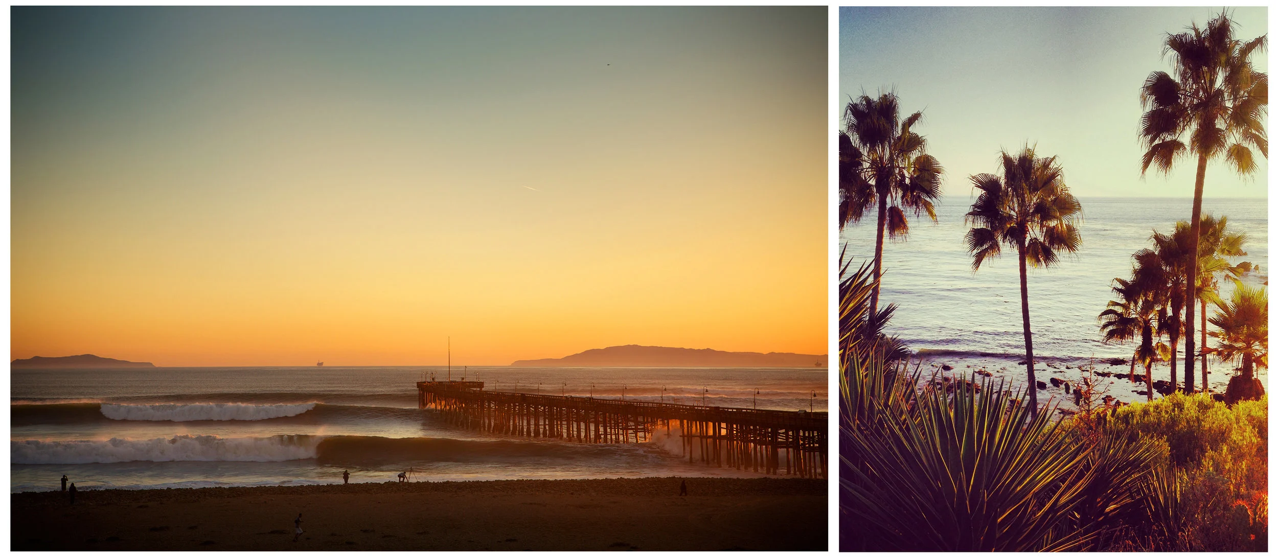 73 SRGBWEB_52A8716-2.JPG