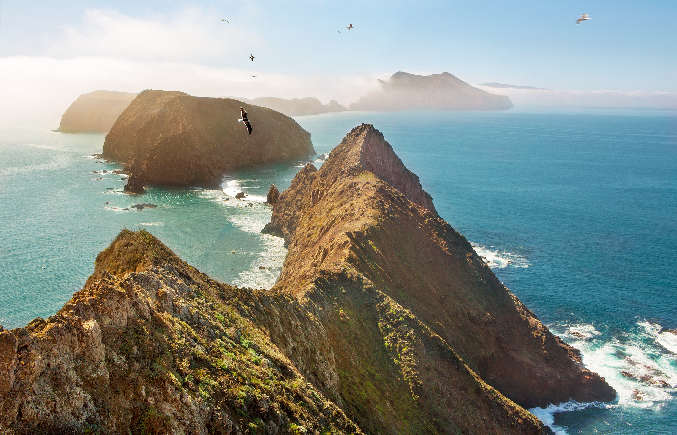 74 SRGB channel islands _52A9537.JPG