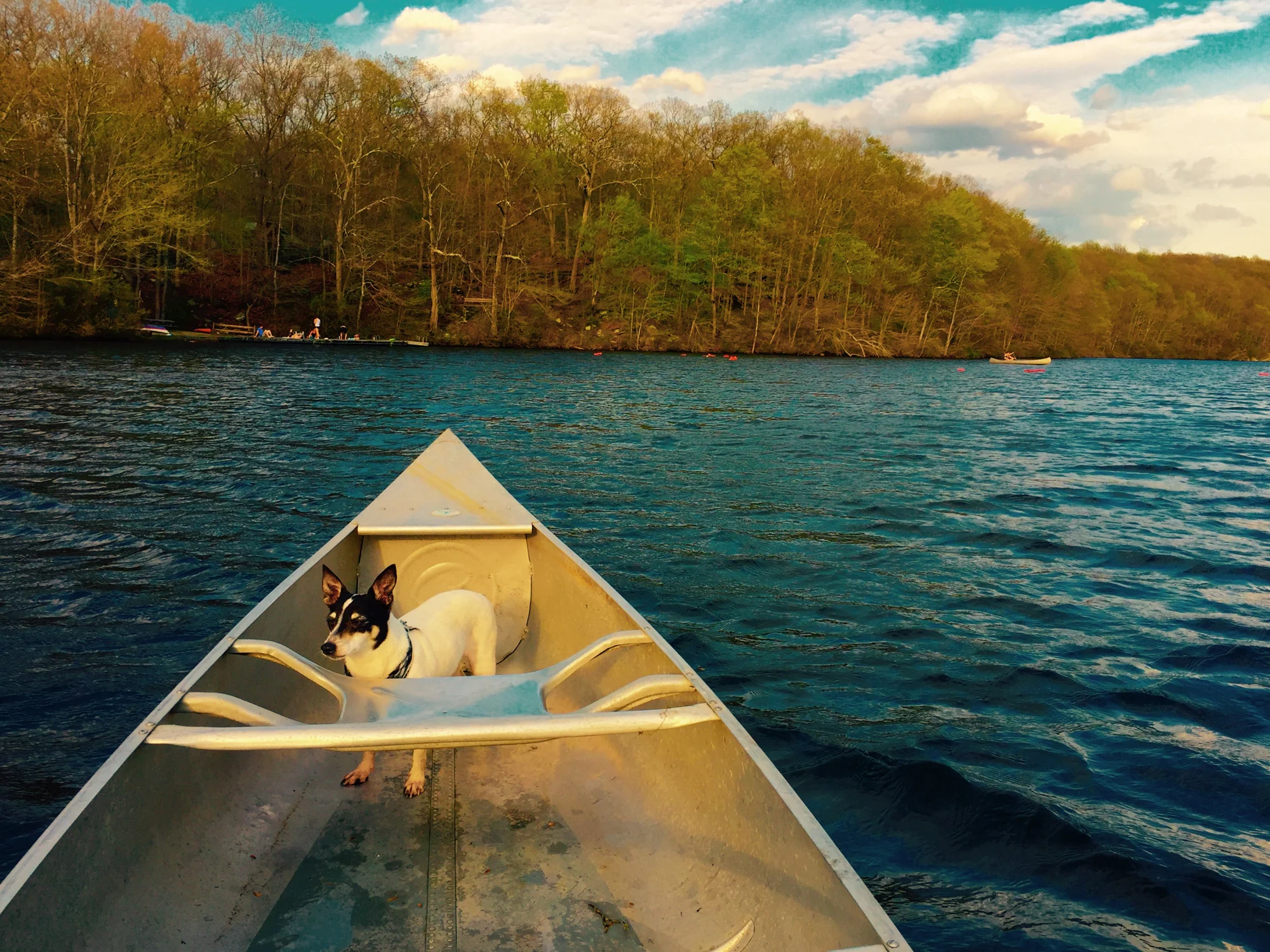 FullSizeRender 8.JPG