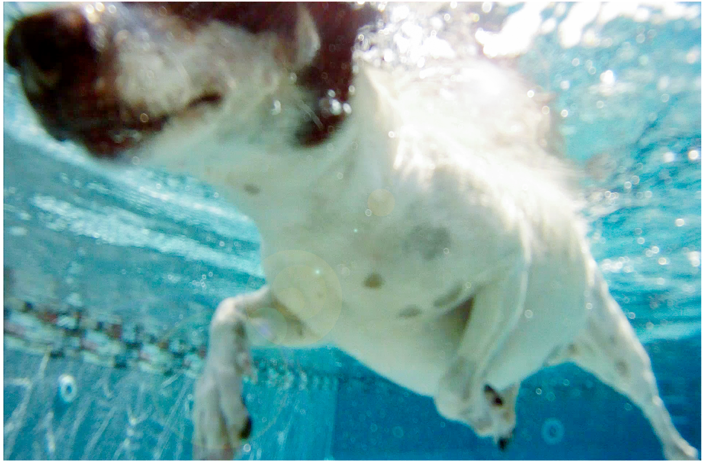 Screen Shot 2016-11-06 at 11.39.06 AM.JPG