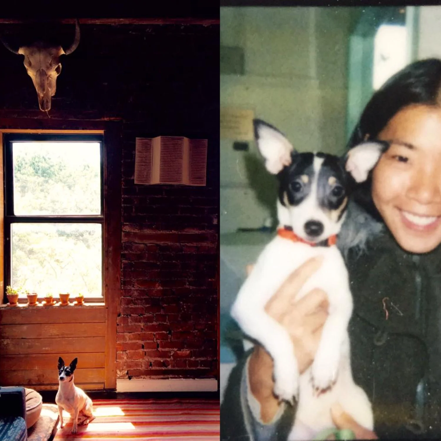 Screen Shot 2018-08-09 at 4.57.46 PM.JPG