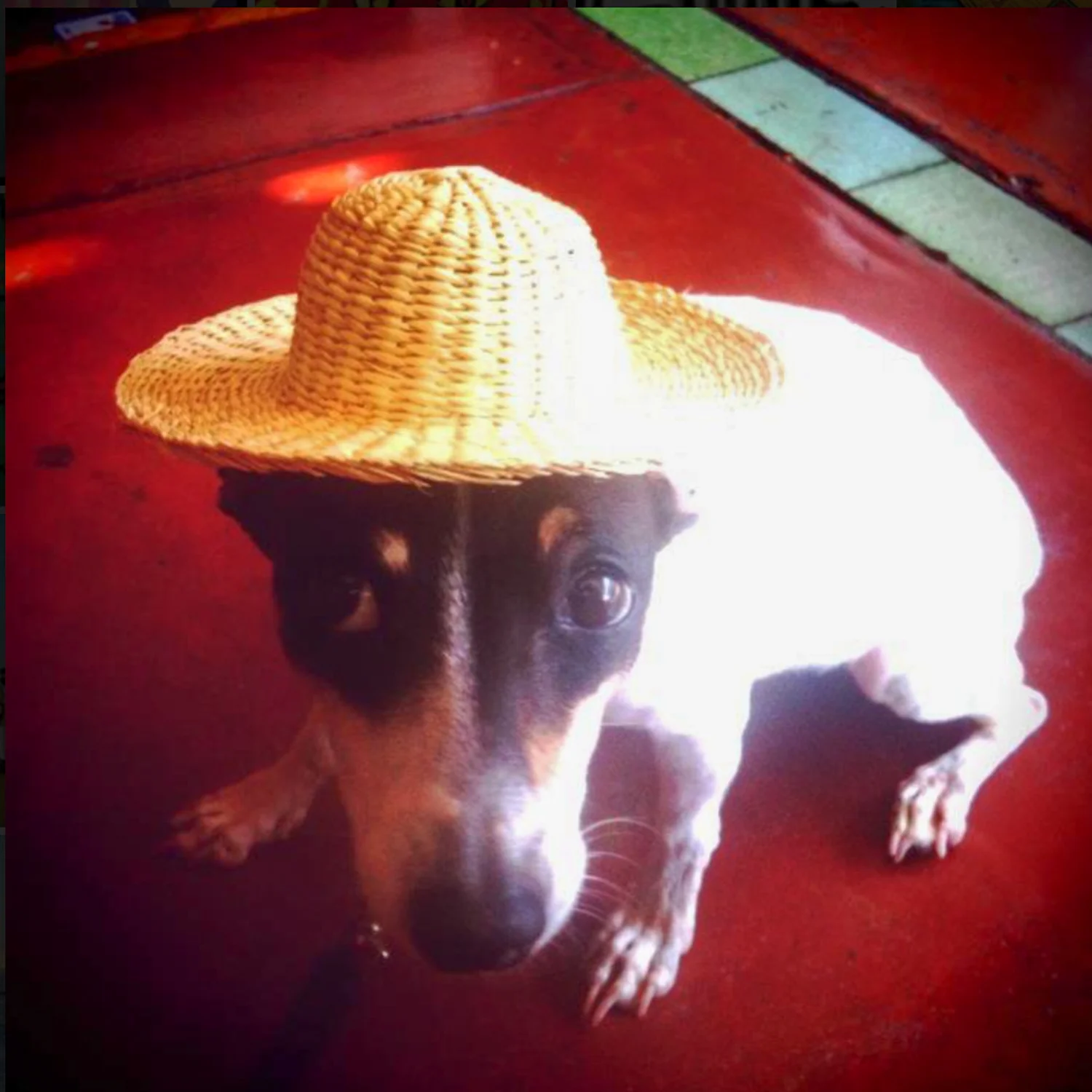 Screen Shot 2018-08-09 at 5.02.53 PM.JPG