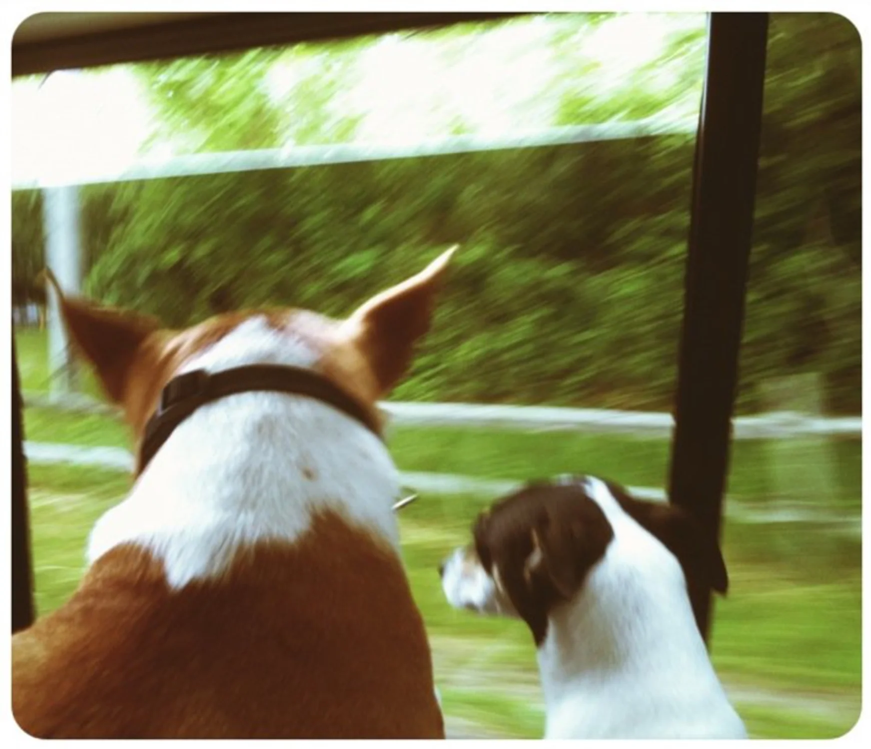 Screen Shot 2018-08-09 at 5.06.13 PM.JPG