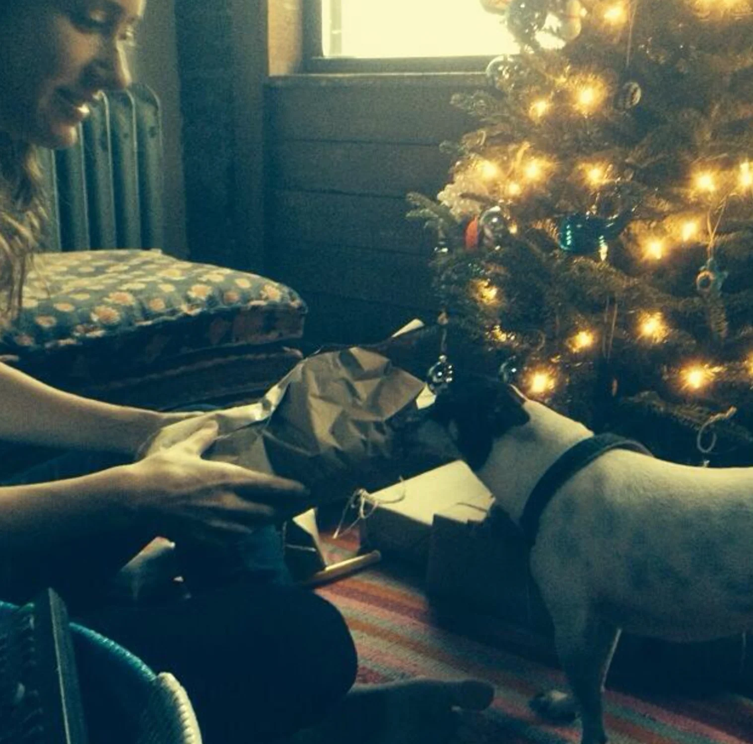 Screen Shot 2018-08-09 at 5.07.50 PM.JPG