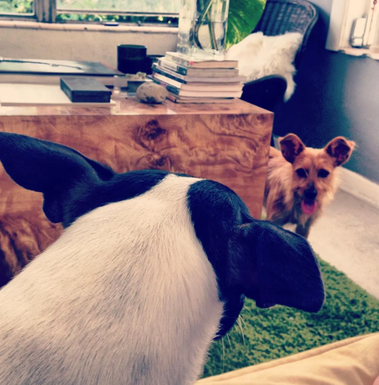 Screen Shot 2018-08-09 at 5.19.22 PM.JPG