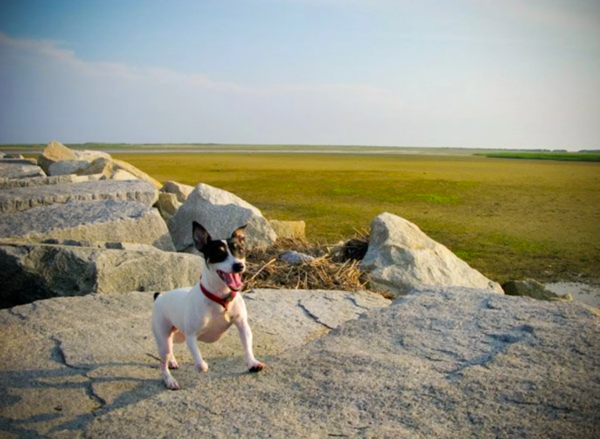 Screen Shot 2018-08-09 at 5.35.41 PM.JPG