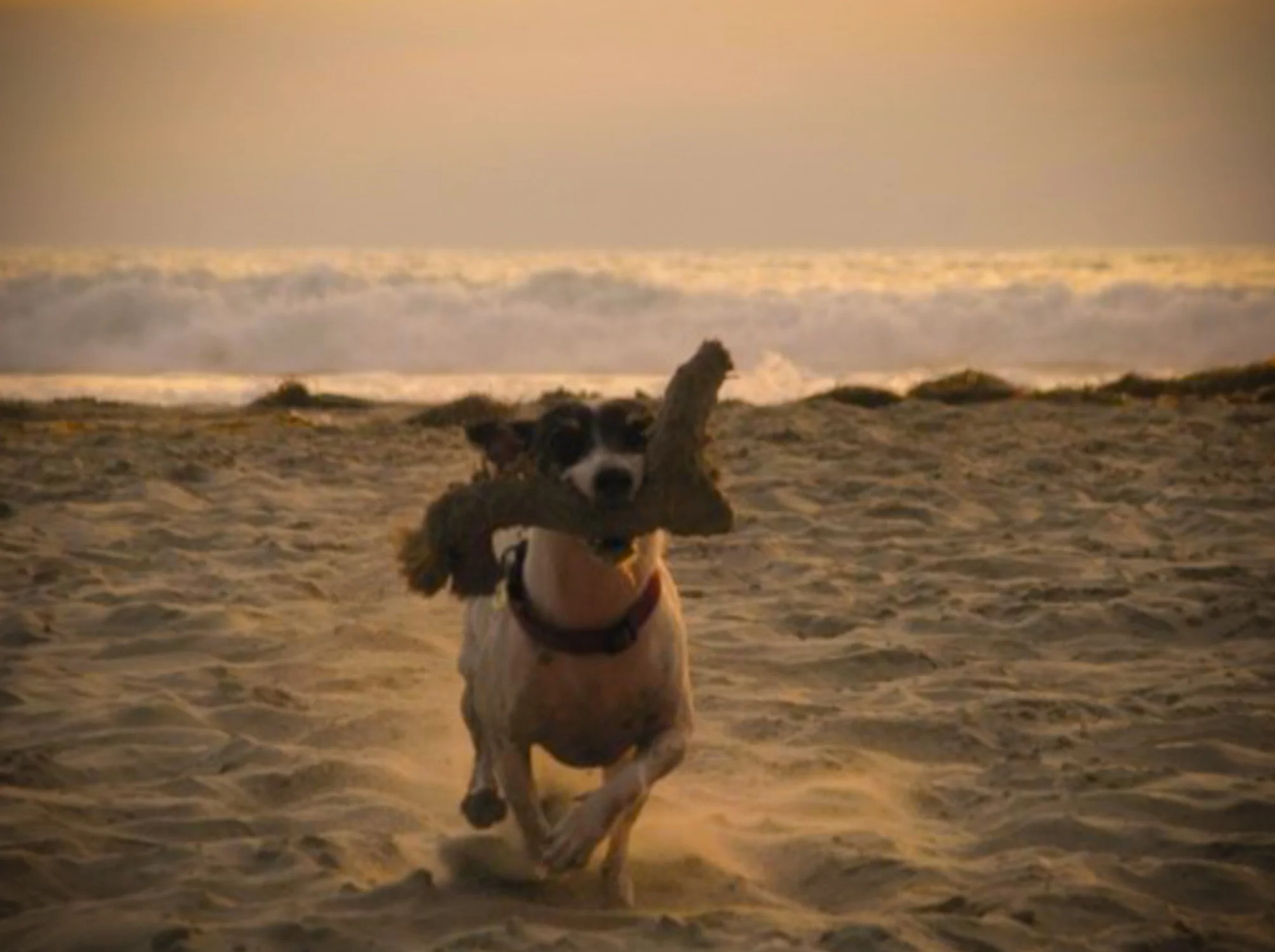 Screen Shot 2018-08-09 at 5.37.01 PM.JPG