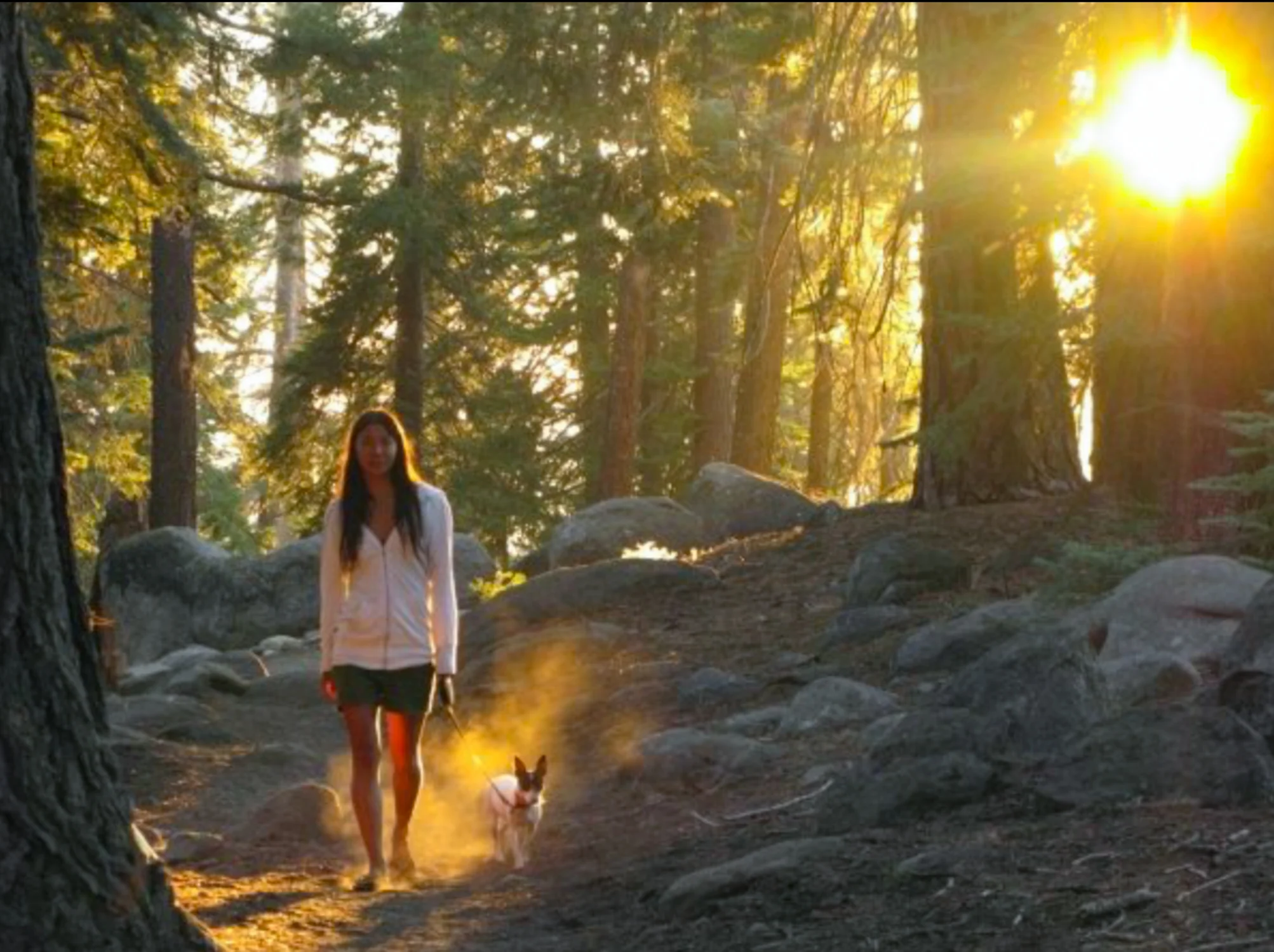 Screen Shot 2018-08-09 at 5.37.49 PM.JPG