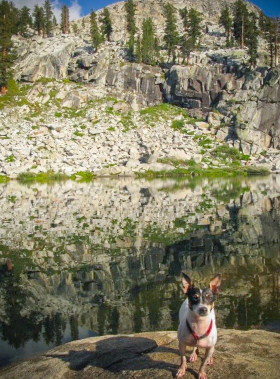 Screen Shot 2018-08-09 at 5.38.21 PM.JPG