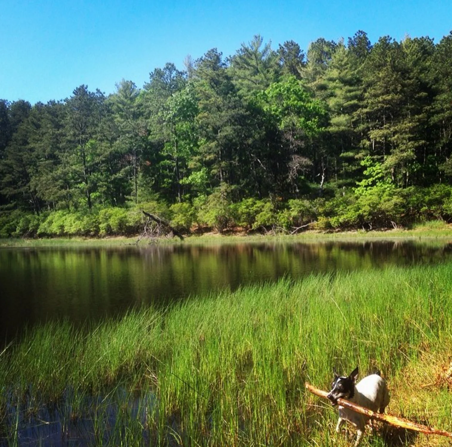 Screen Shot 2018-08-09 at 5.54.42 PM.JPG