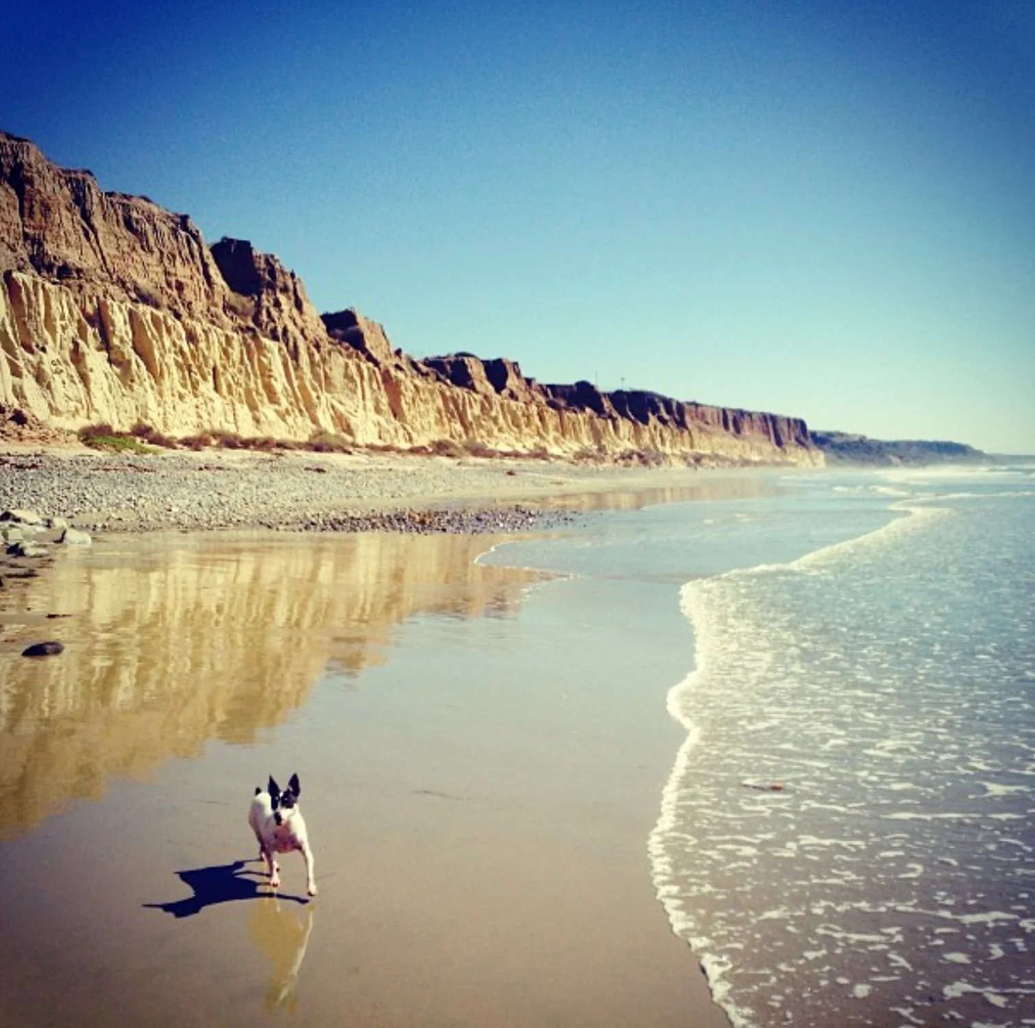 Screen Shot 2018-08-09 at 5.56.45 PM.JPG